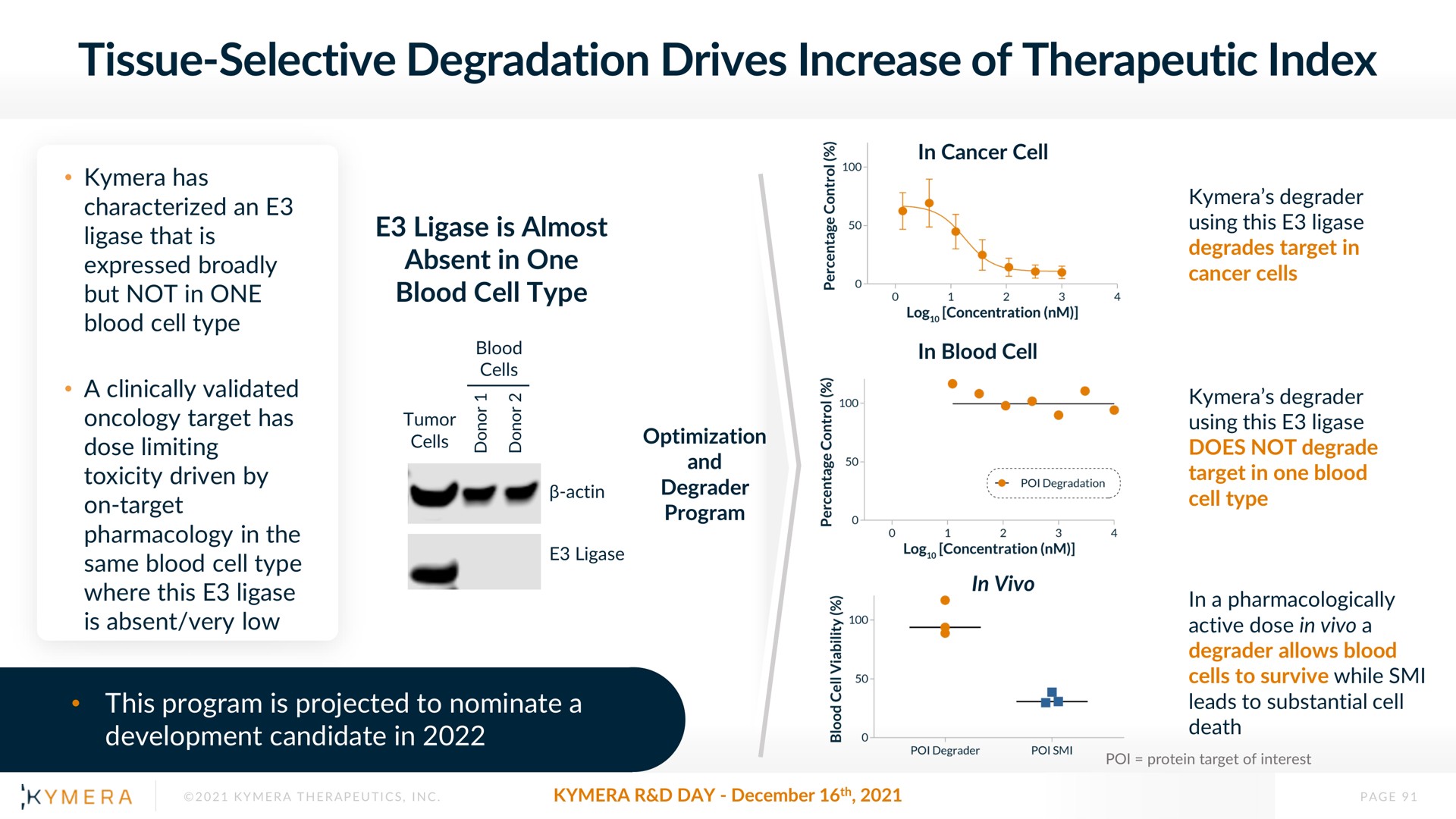tissue selective degradation drives increase of therapeutic index | Kymera