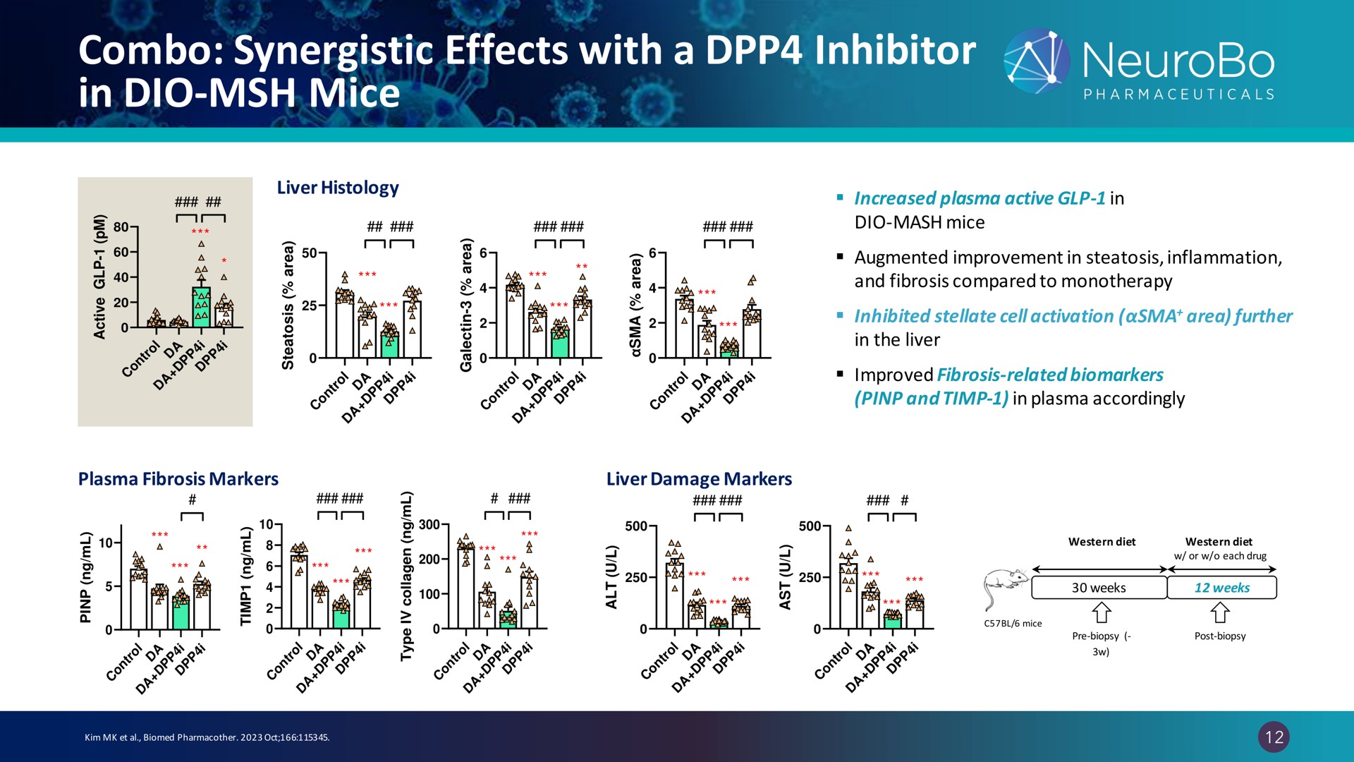 synergistic effects with a inhibitor in mice | NeuroBo Pharmaceuticals