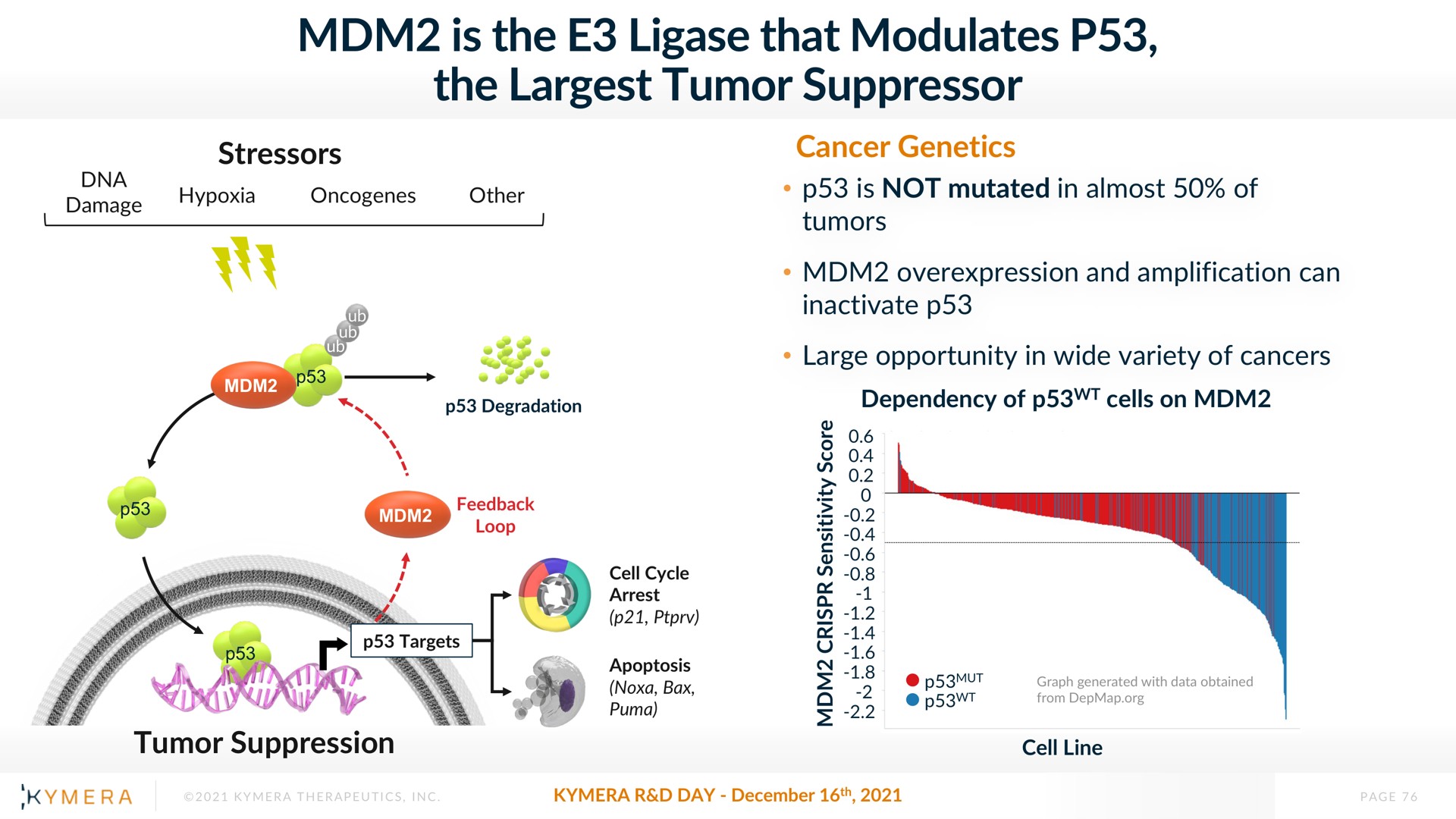 is the that modulates the tumor suppressor | Kymera