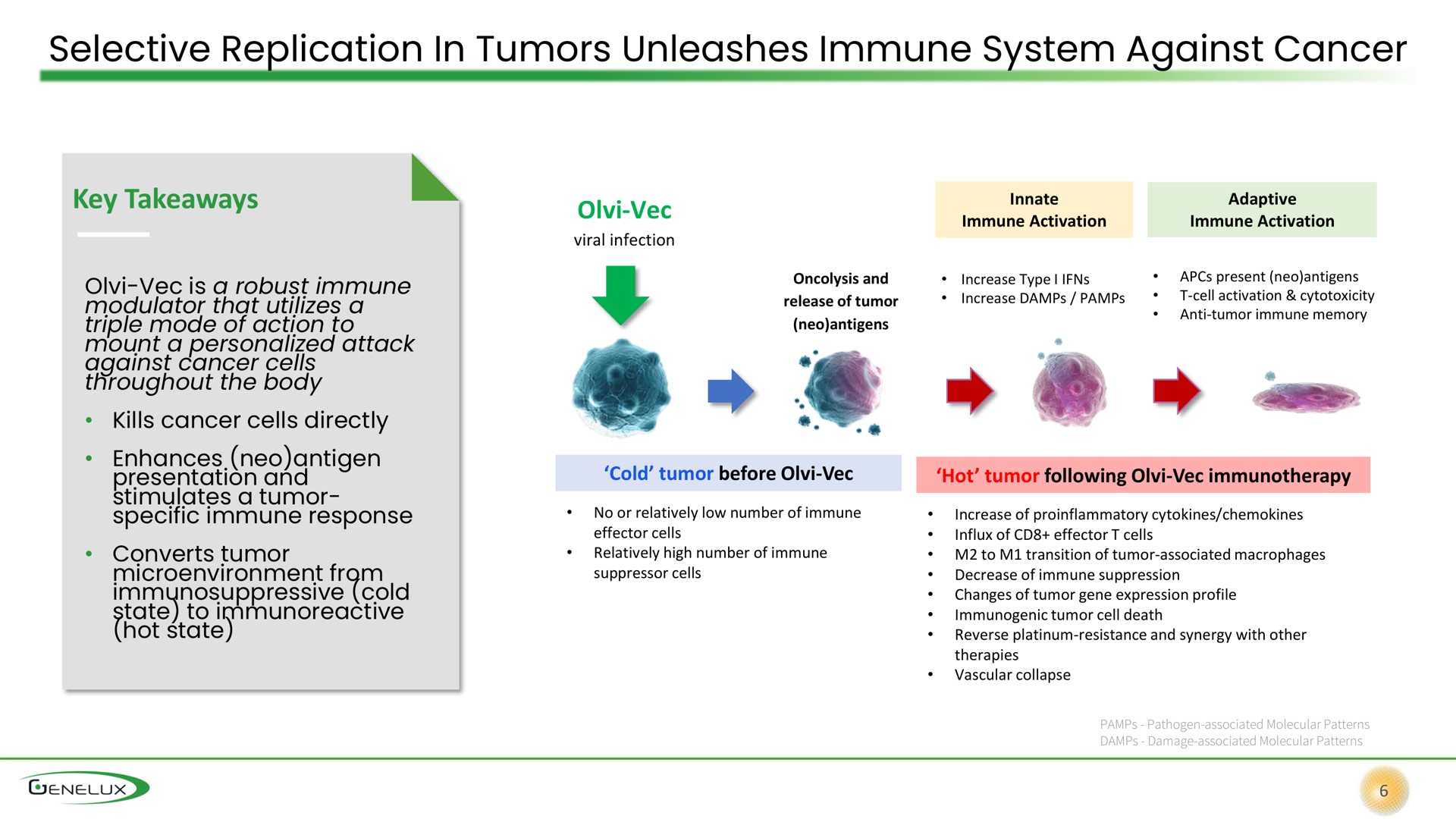 selective replication in tumors unleashes immune system against cancer | Genelux