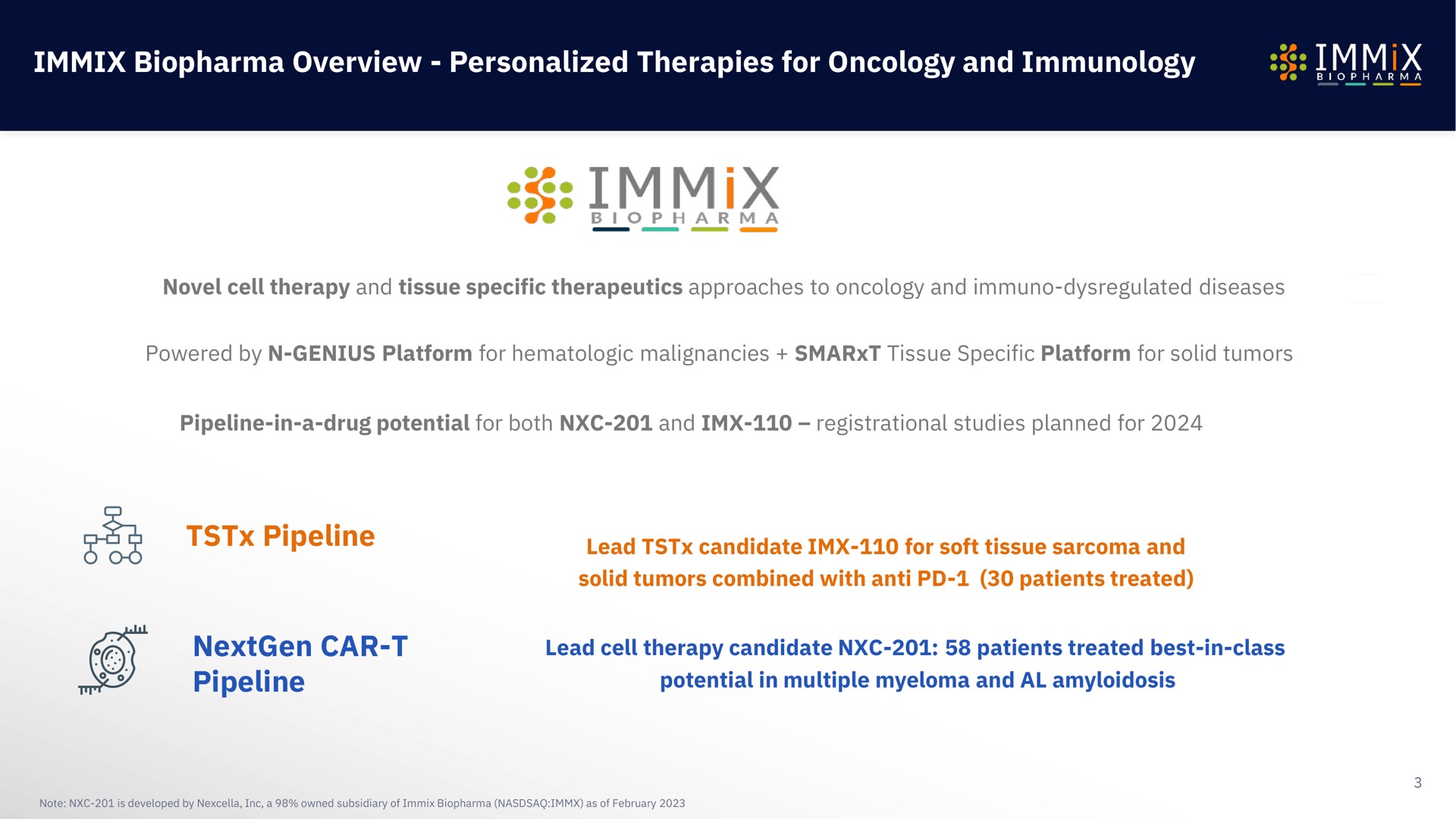immix overview personalized therapies for oncology and immunology pipeline car pipeline | Immix Biopharma
