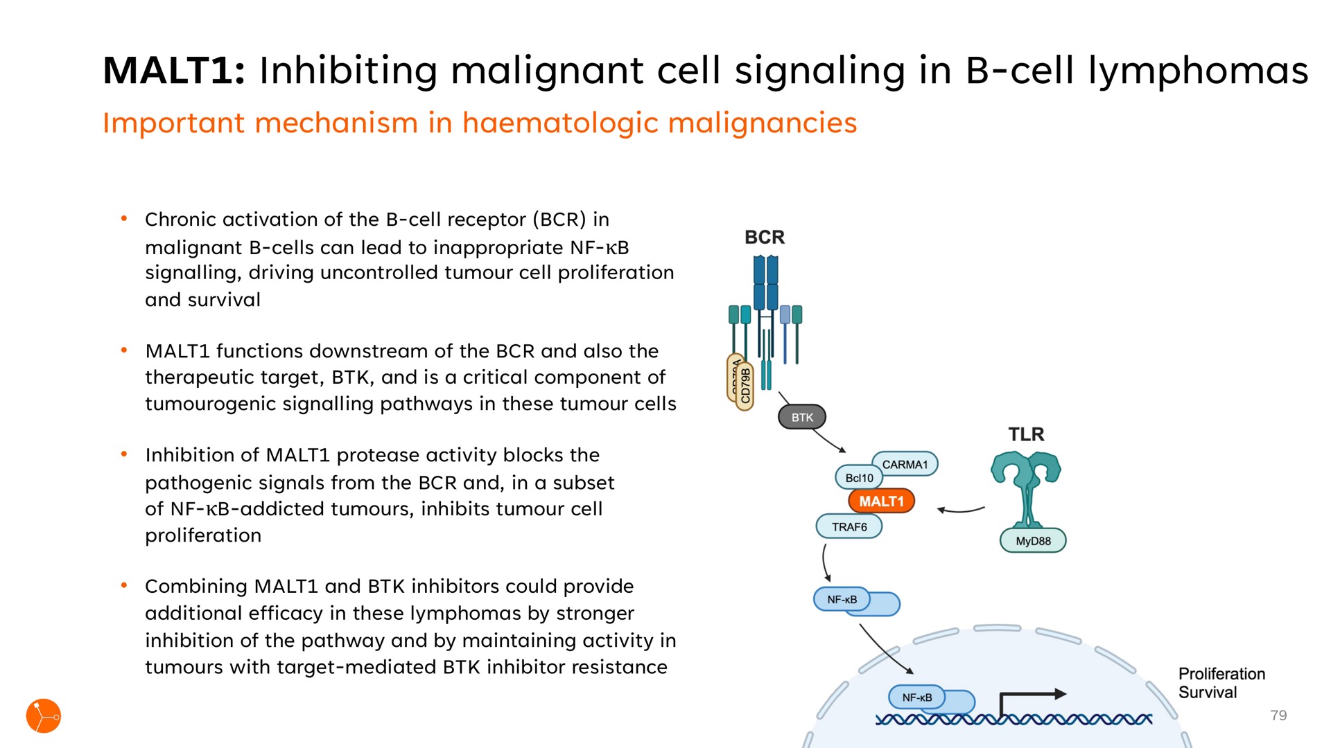malt inhibiting malignant cell signaling in cell lymphomas | Exscientia
