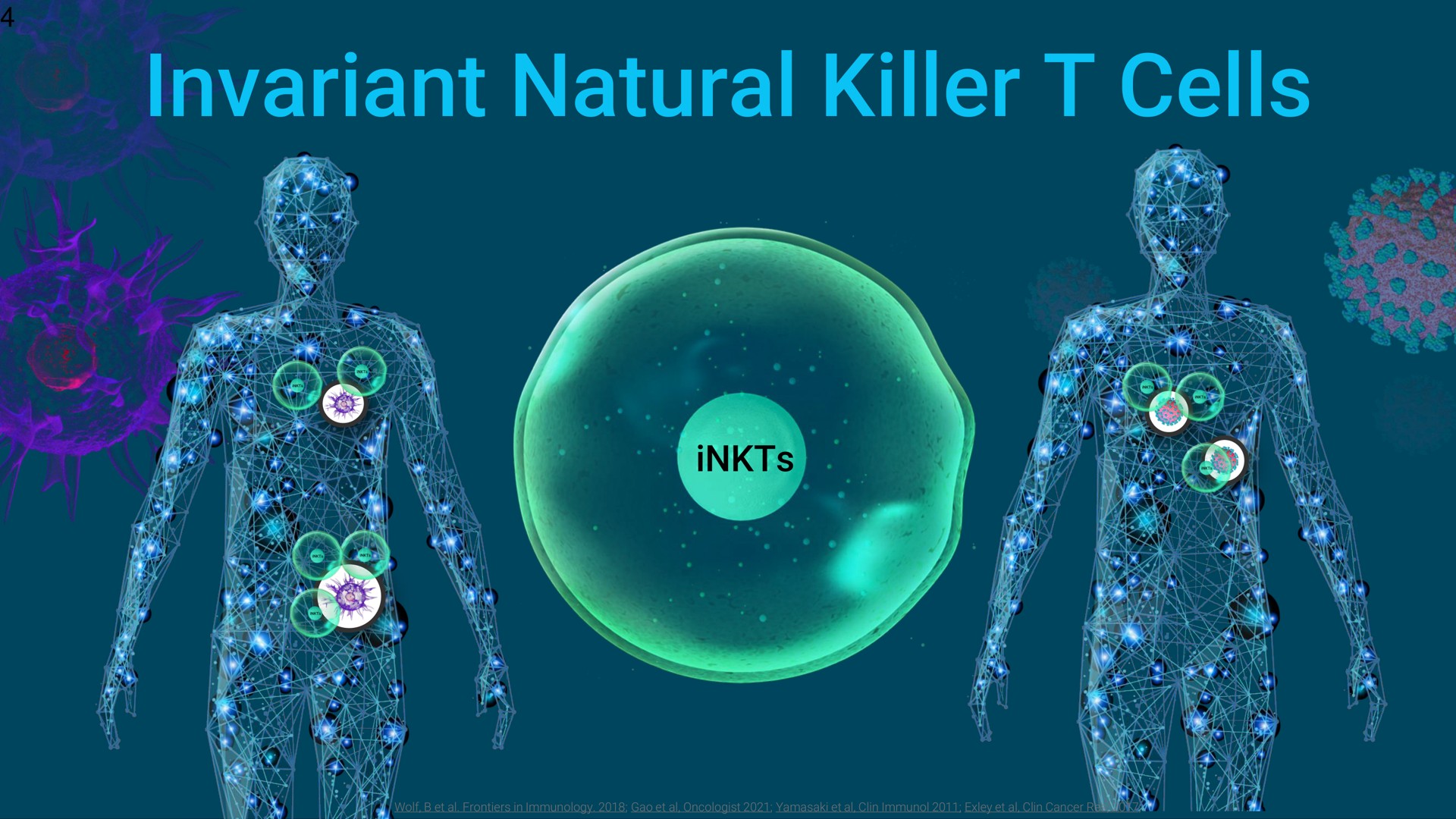 invariant natural killer cells | Mink Therapeutics