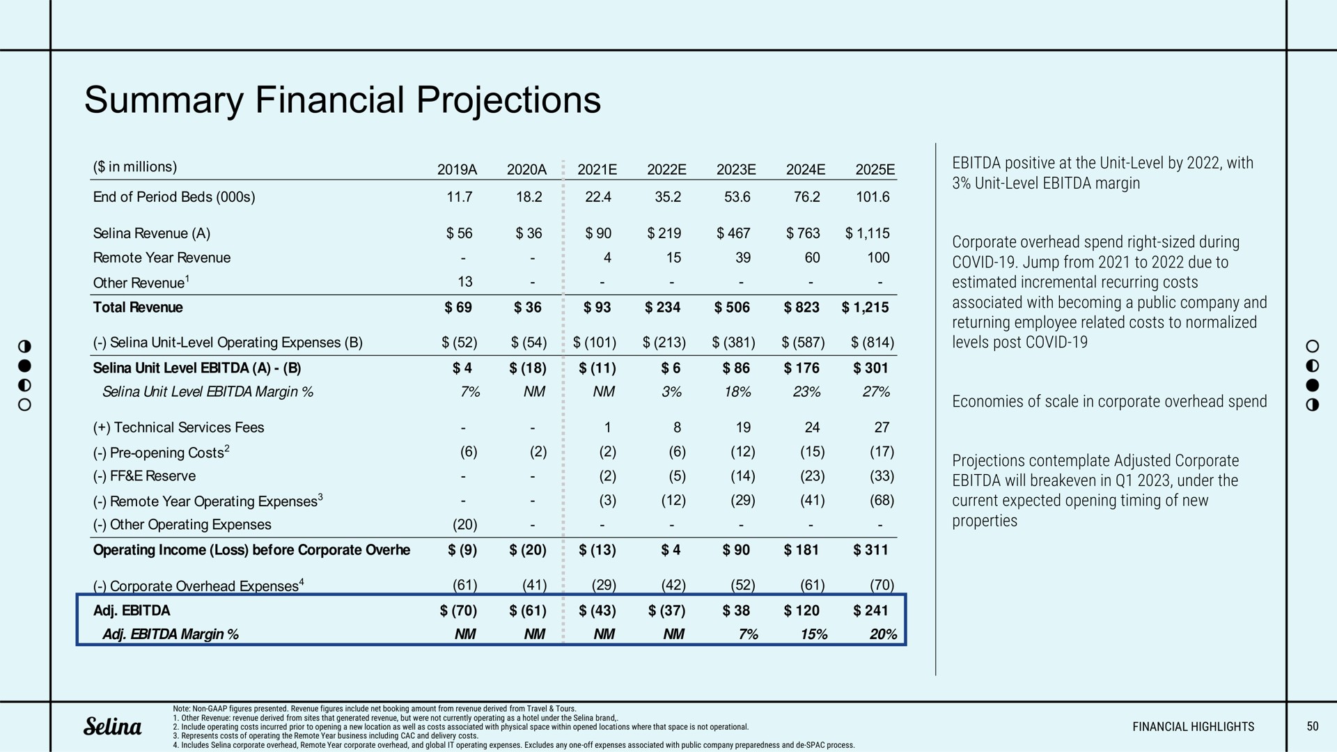 summary financial projections | Selina