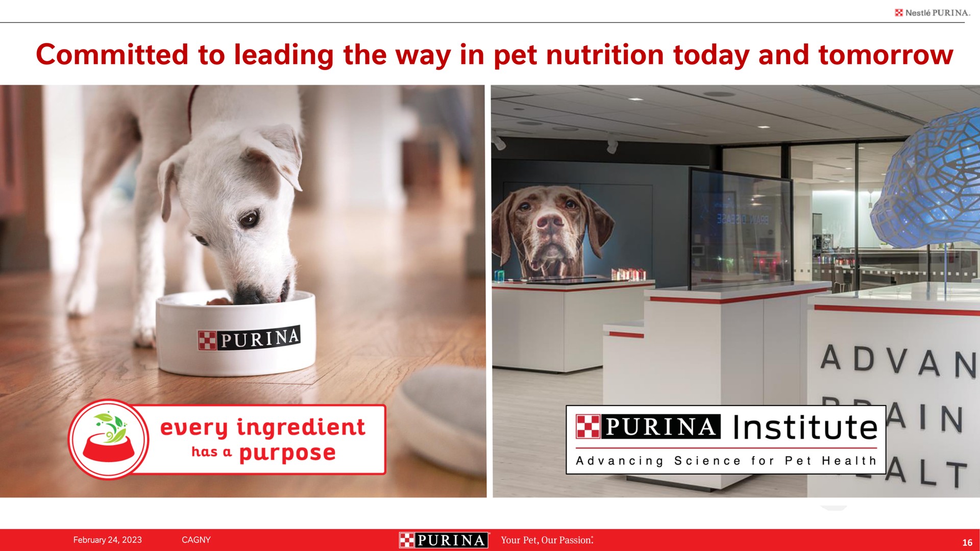 committed to leading the way in pet nutrition today and tomorrow every ingredient institute | Nestle