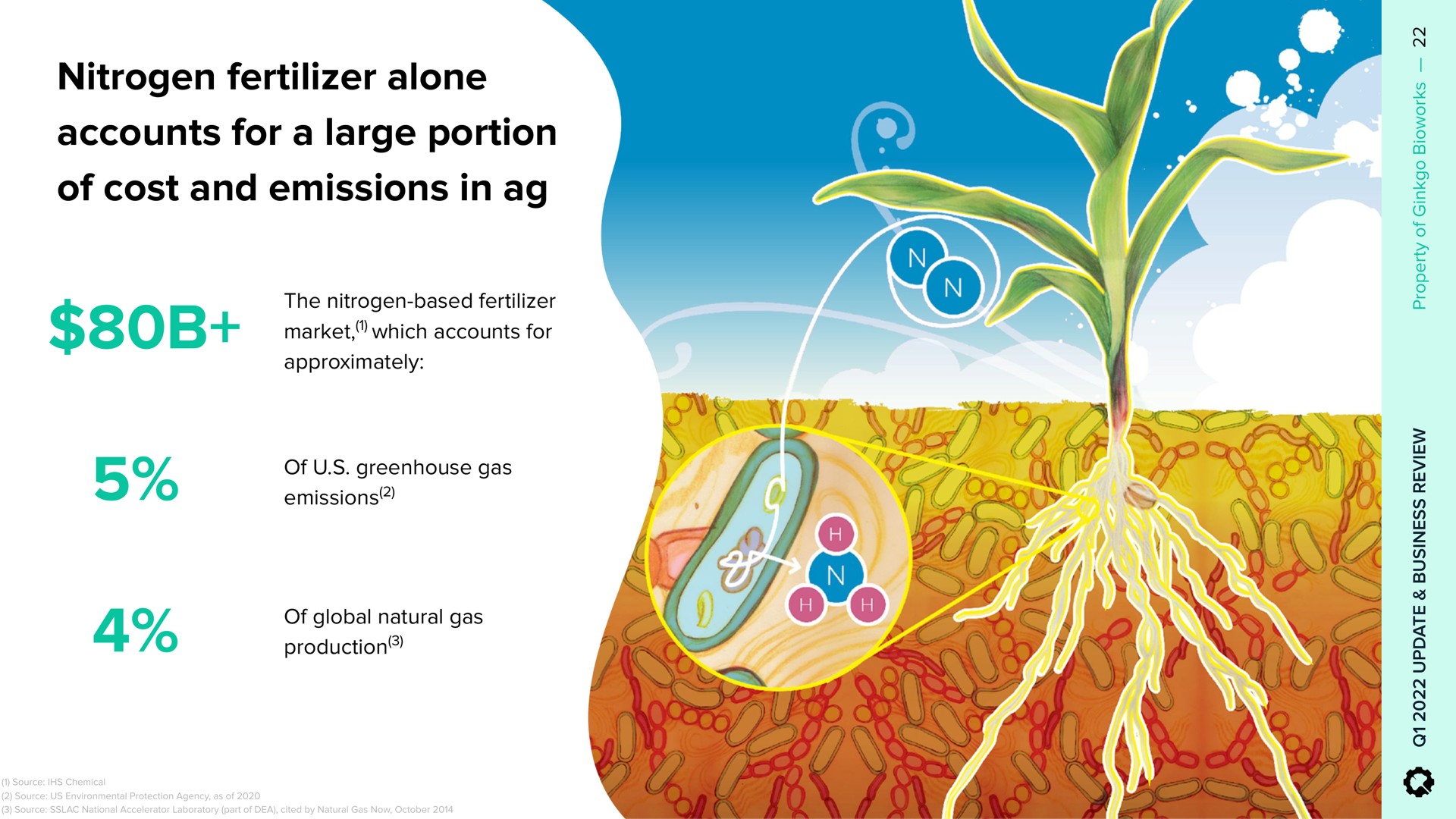 nitrogen fertilizer alone accounts for a large portion of cost and emissions in | Ginkgo