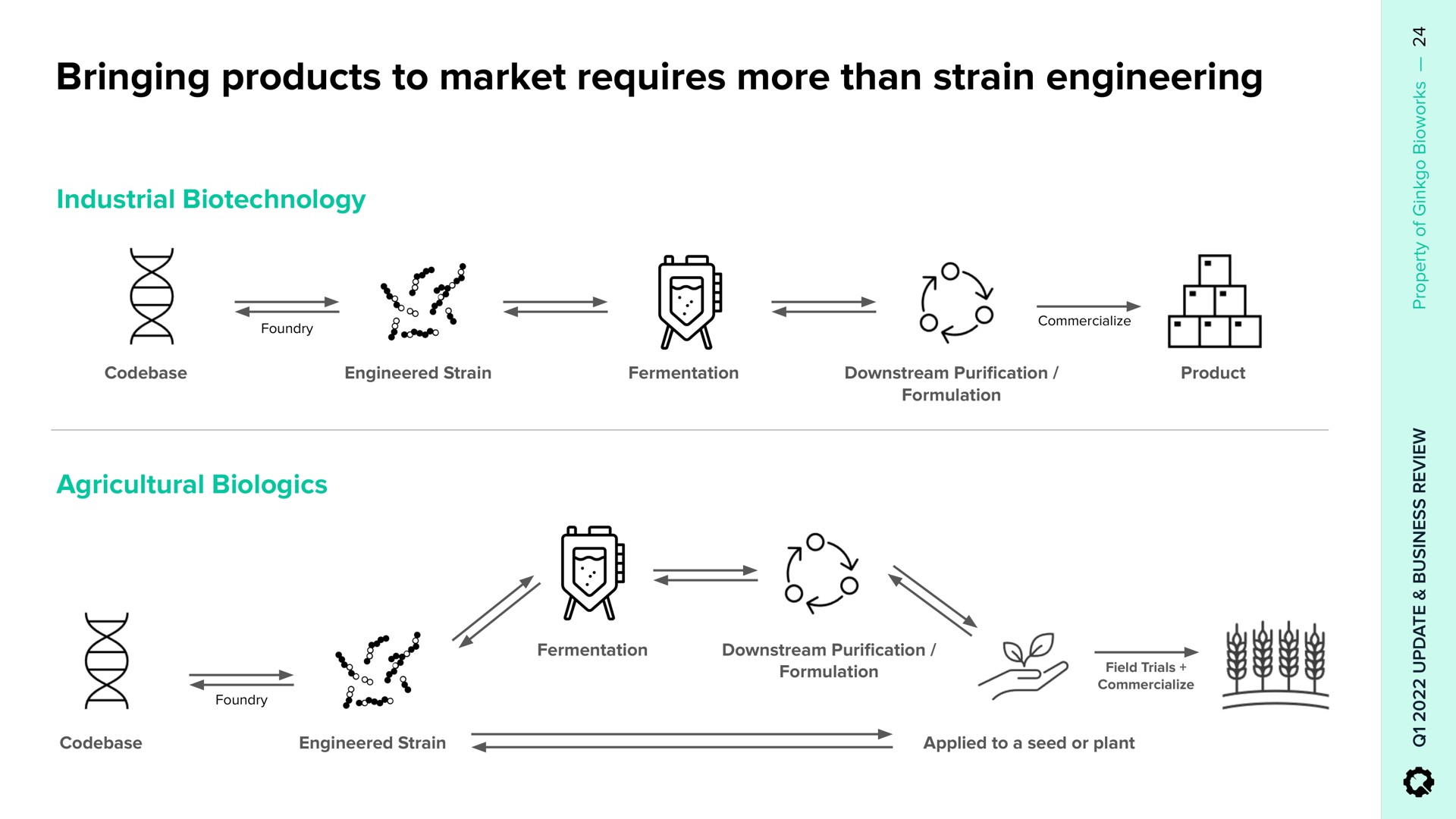 bringing products to market requires more than strain engineering | Ginkgo