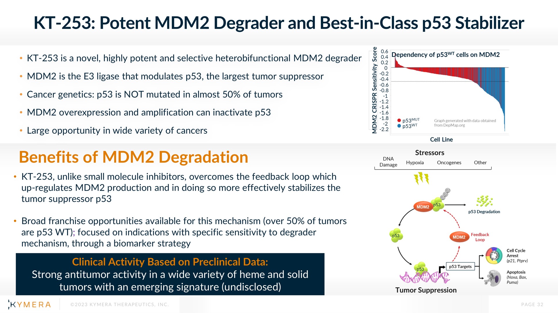 potent degrader and best in class stabilizer benefits of degradation | Kymera
