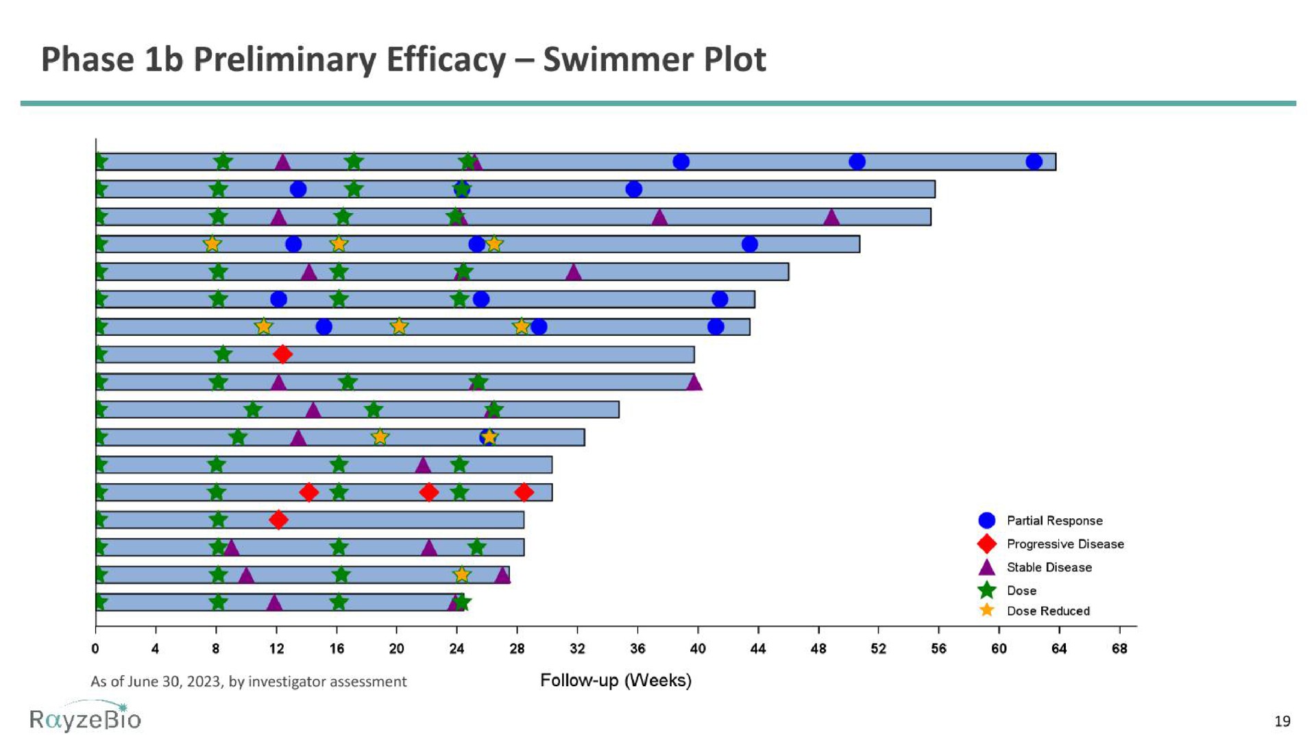 phase preliminary efficacy swimmer plot | RayzeBio