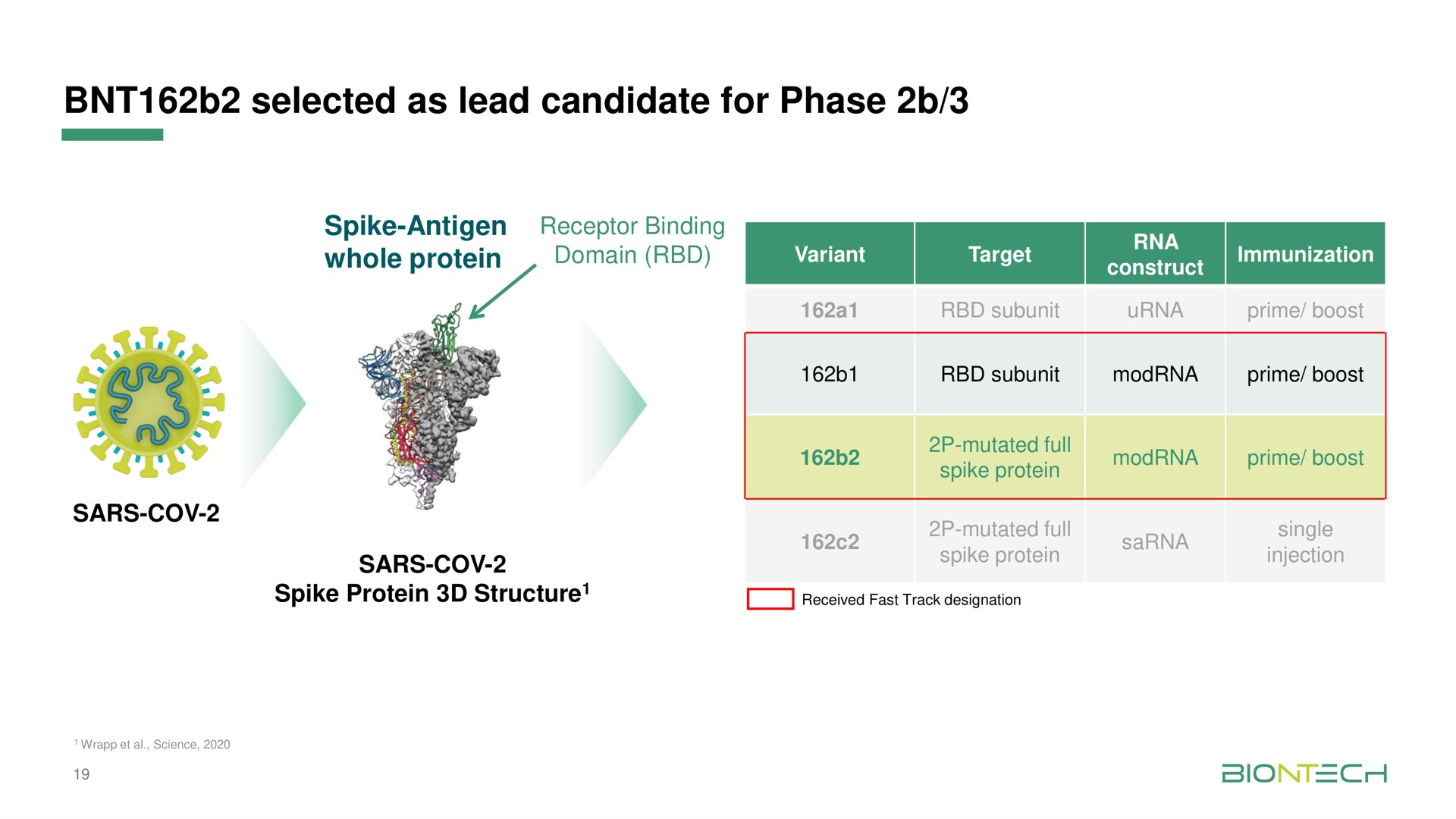 selected as lead candidate for phase mutated full sarna sing sas gon | BioNTech