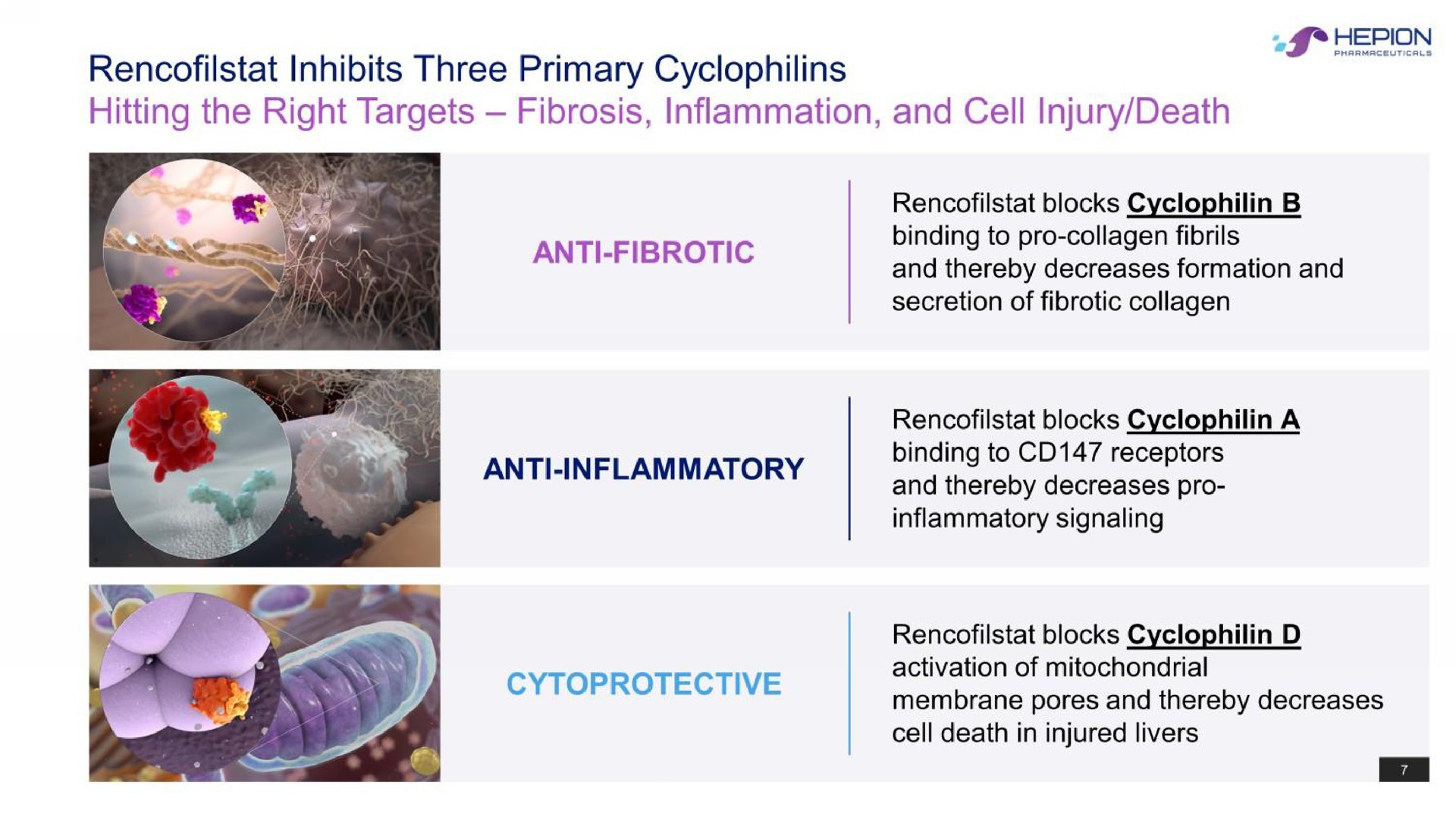 inhibits three primary hitting the right targets fibrosis inflammation and cell injury death anti fibrotic anti inflammatory | Hepion Pharmaceuticals