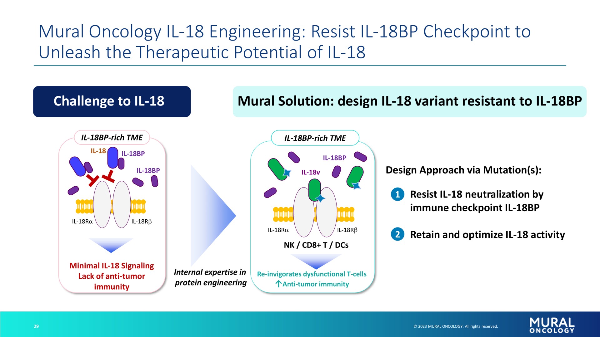 mural oncology engineering resist to unleash the therapeutic potential of | Alkermes
