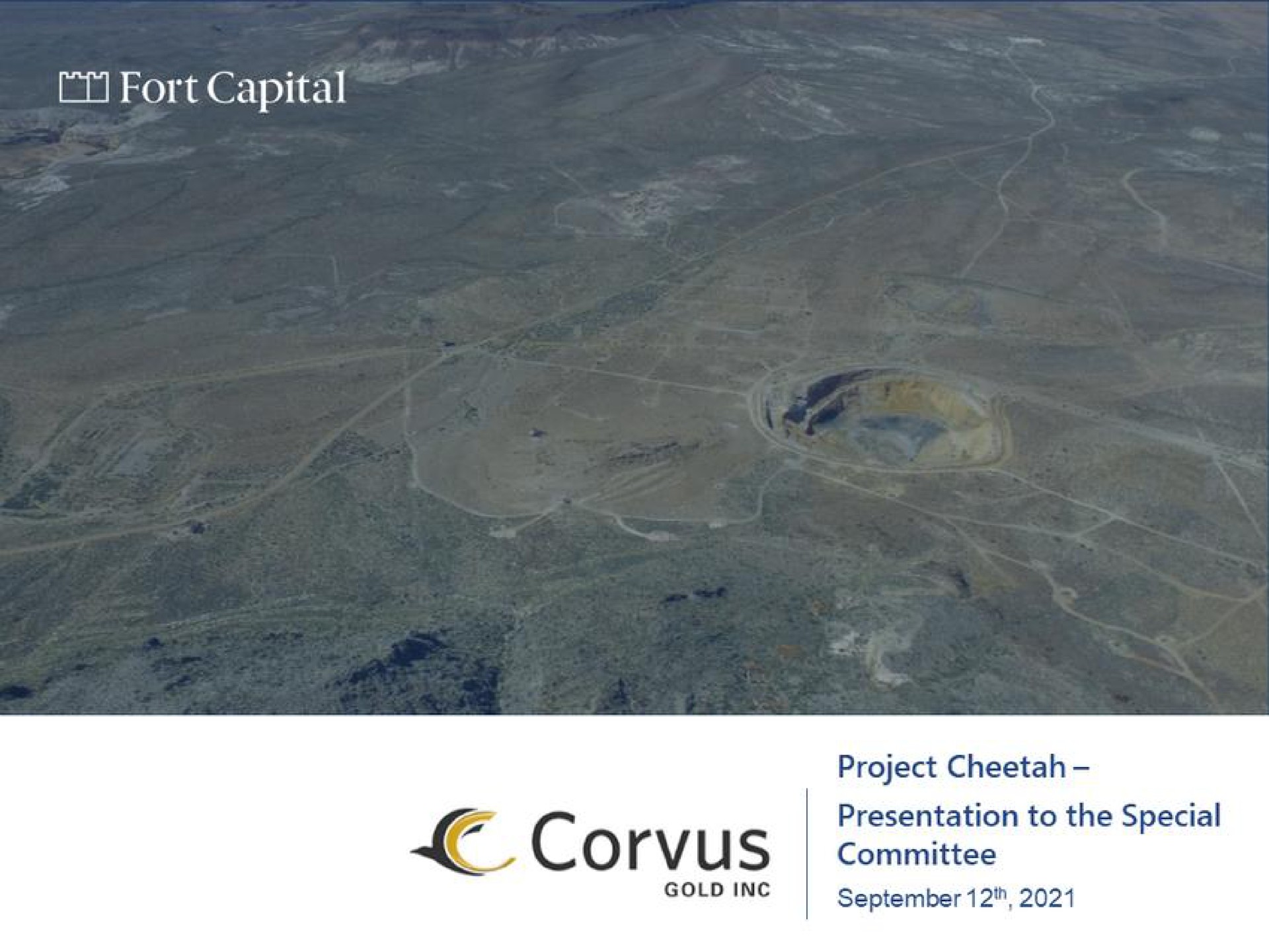 fort capital project cheetah presentation to the special committee | Fort Capital