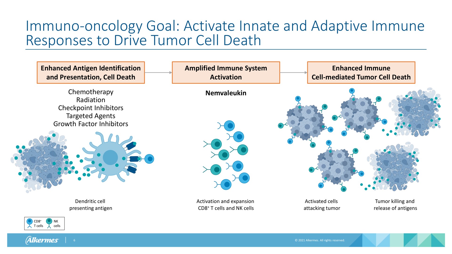 oncology goal activate innate and adaptive immune responses to drive tumor cell death enhanced antigen identification and presentation cell death amplified immune system activation enhanced immune cell mediated tumor cell death chemotherapy radiation inhibitors targeted agents growth factor inhibitors dendritic cell presenting antigen activation and expansion cells and cells activated cells attacking tumor tumor killing and release of antigens cells cells | Alkermes