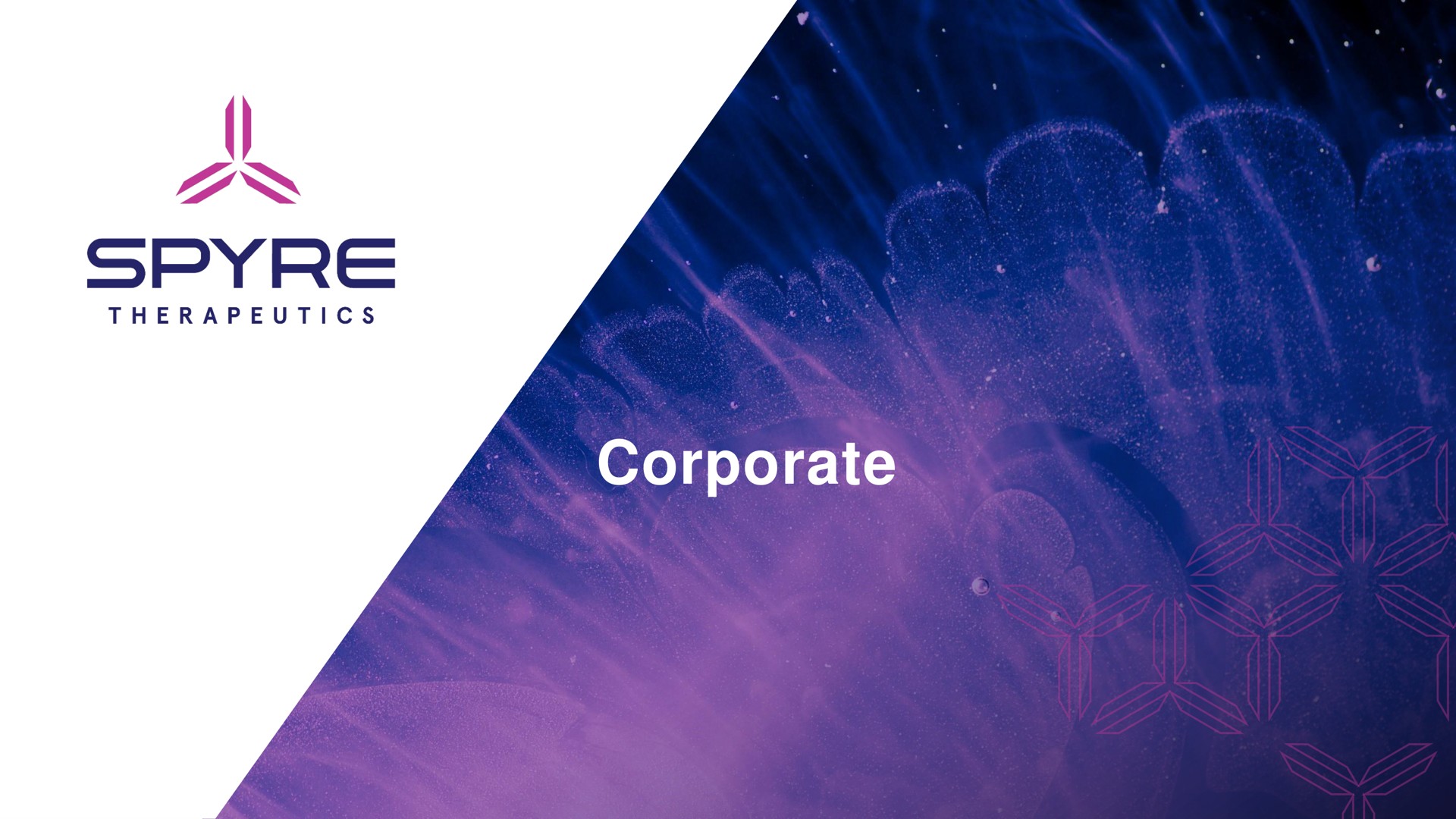 corporate ans | Aeglea BioTherapeutics