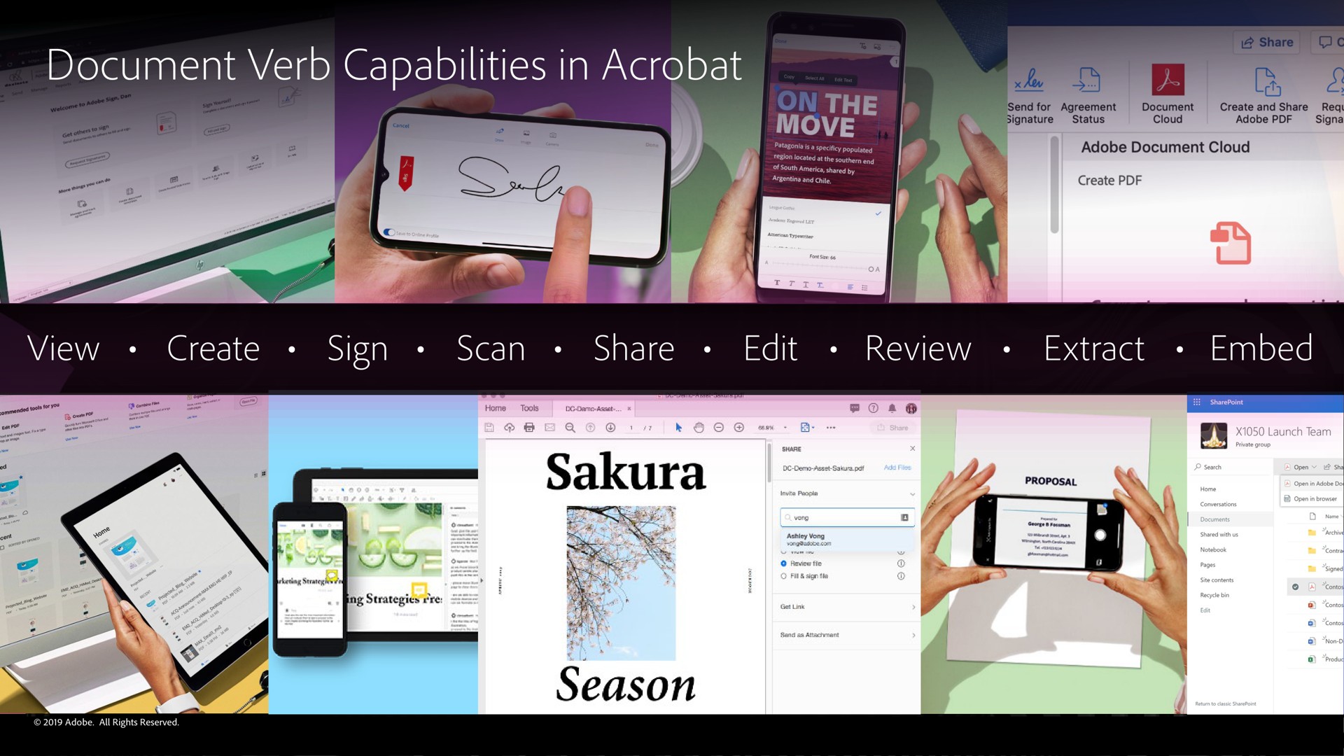 document verb capabilities in acrobat season | Adobe