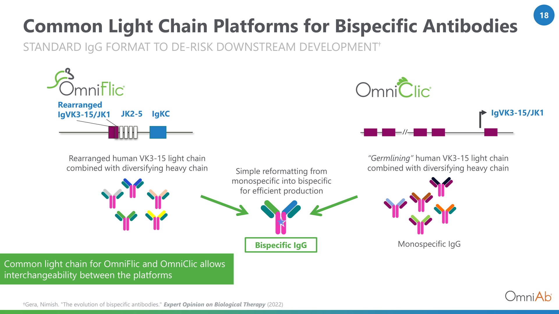 common light chain platforms for antibodies i | OmniAb