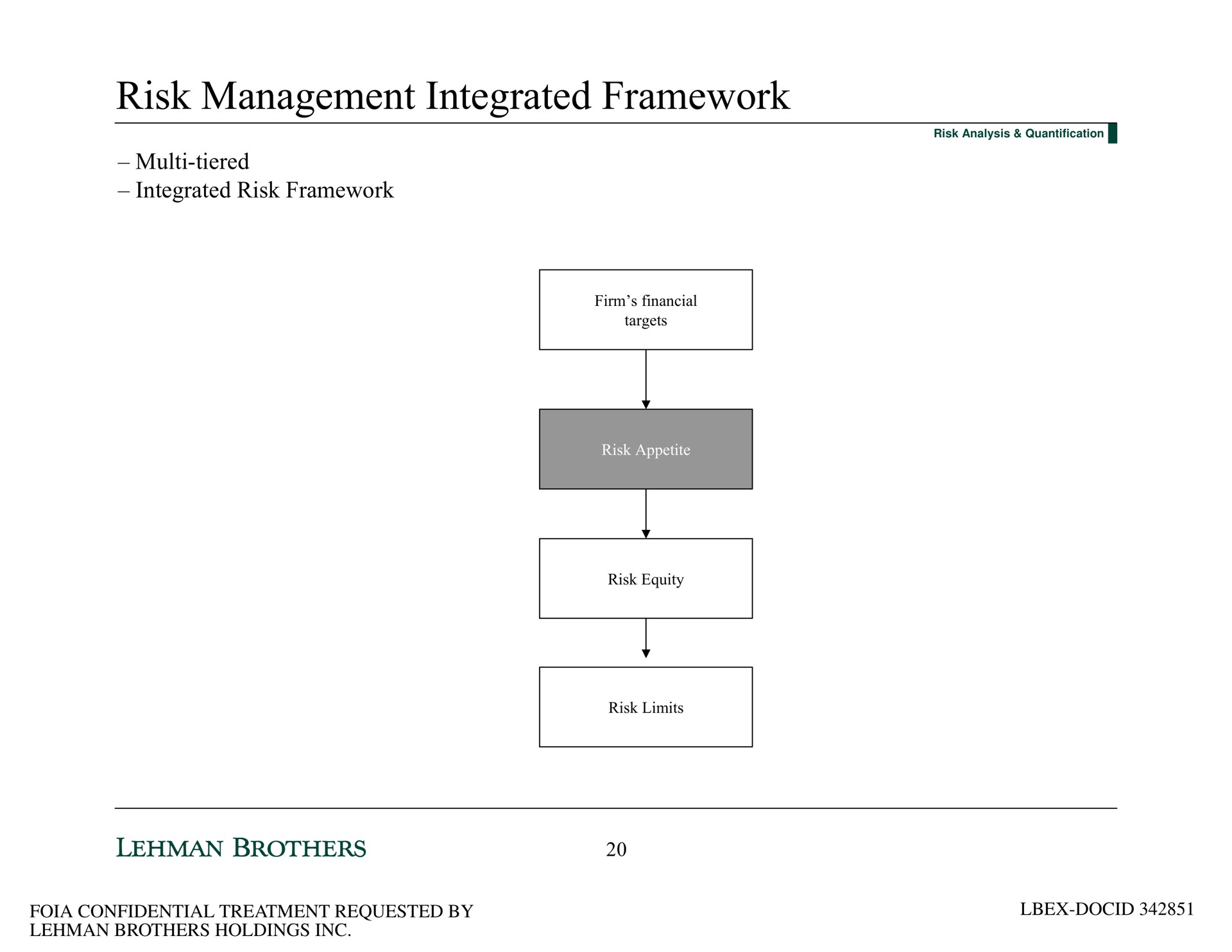 risk management integrated framework tiered integrated risk framework | Lehman Brothers