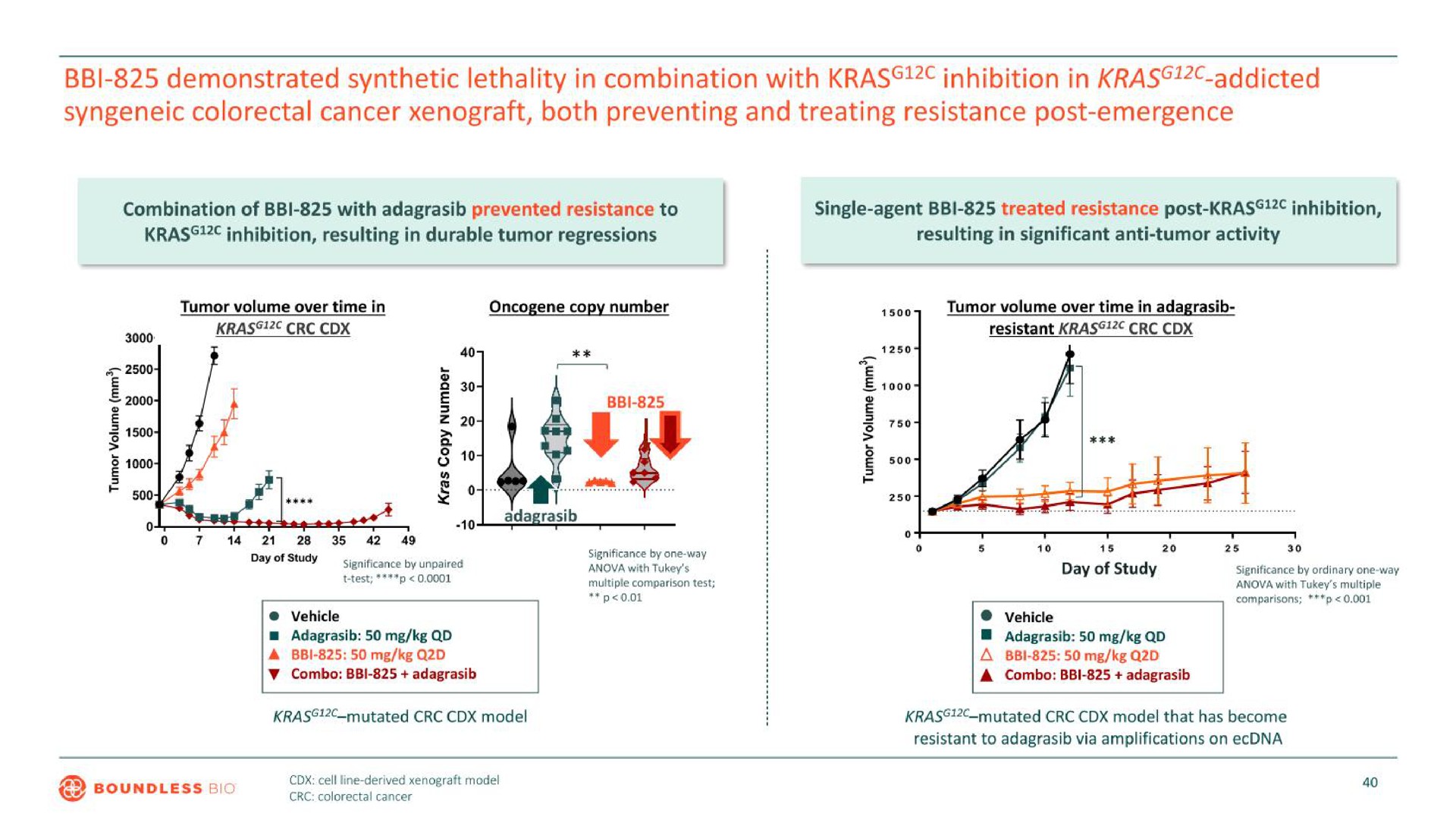 demonstrated synthetic lethality in combination with kras inhibition in kras addicted cancer both preventing and treating resistance post emergence | Boundless Bio