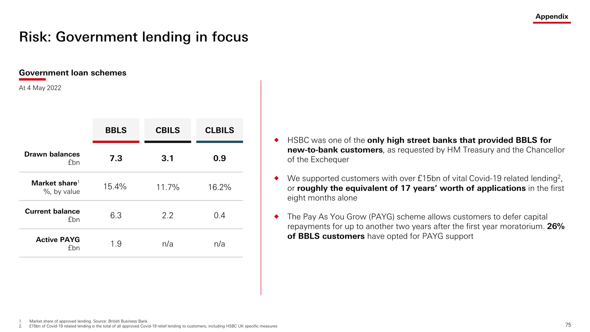 risk government lending in focus | HSBC