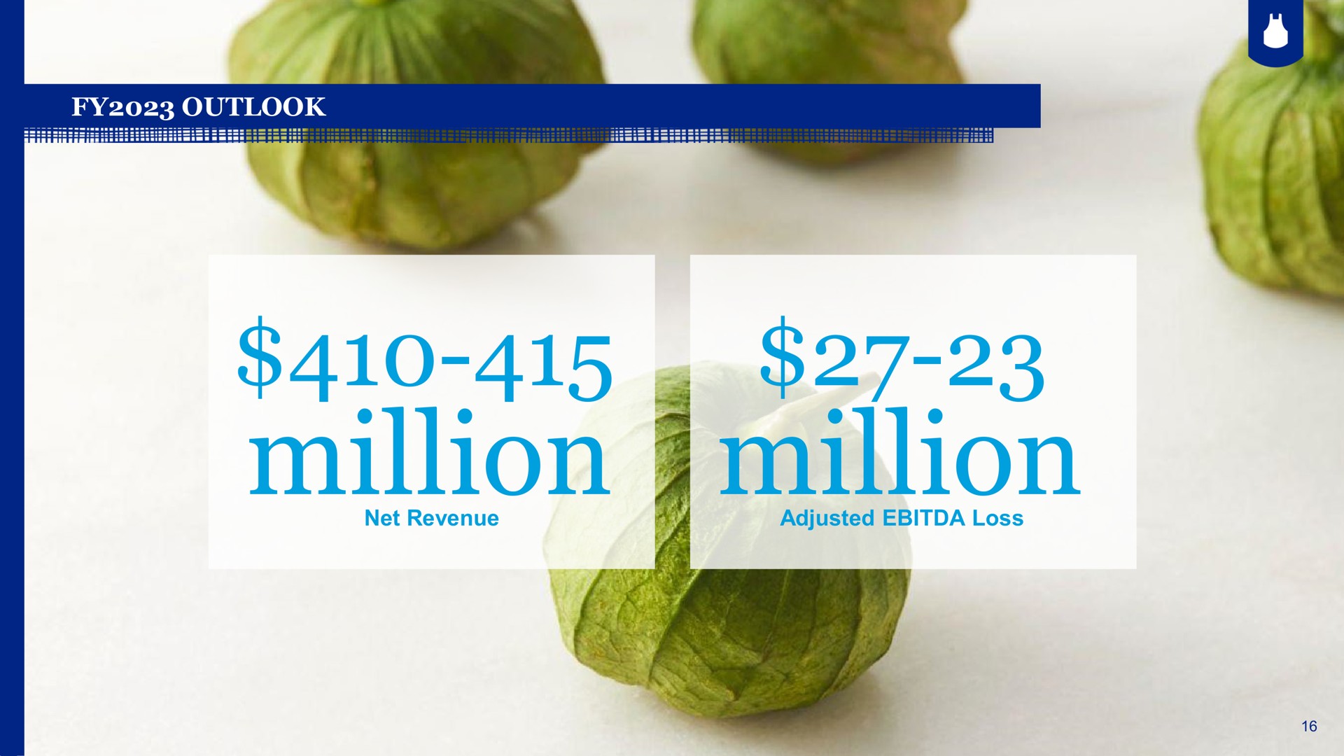 million million net revenue a adjusted loss | Blue Apron