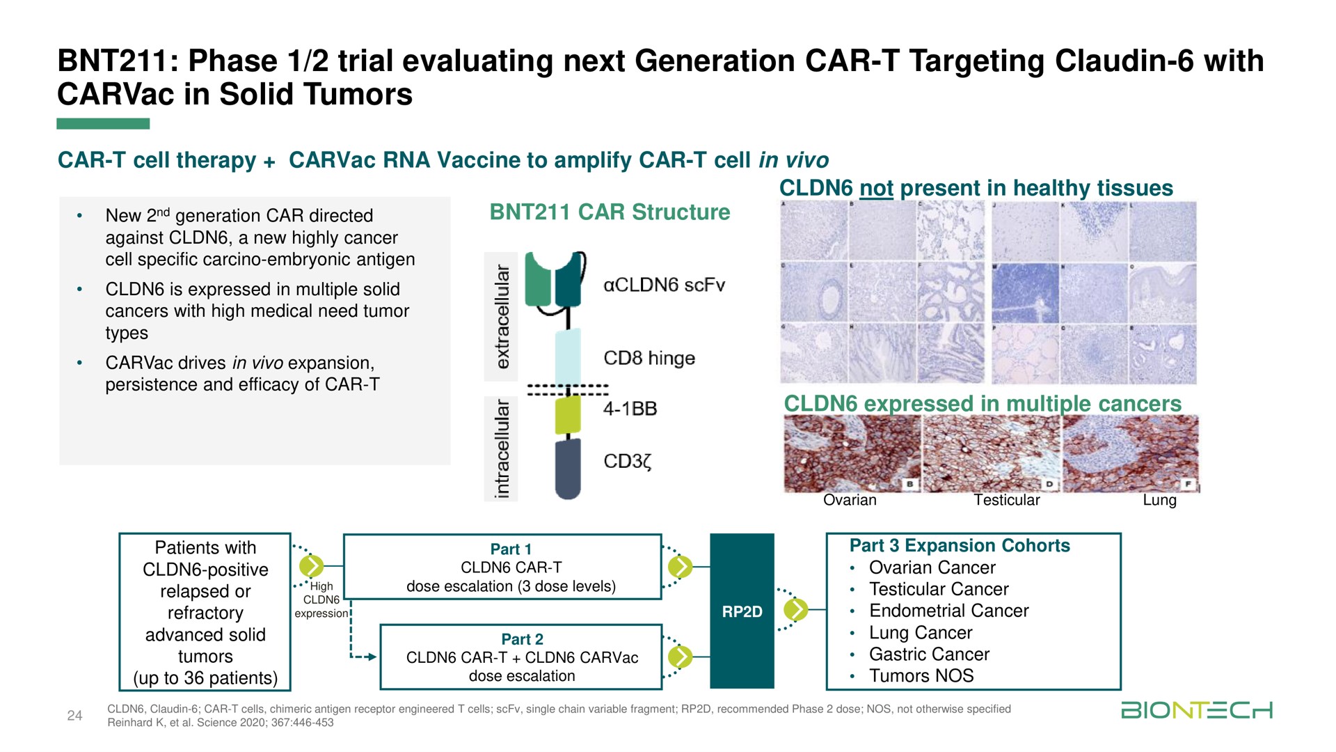 phase trial evaluating next generation car targeting with in solid tumors | BioNTech