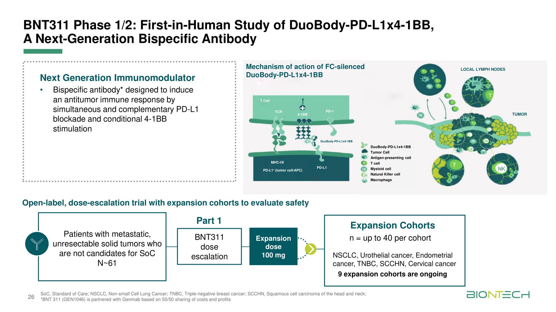 phase first in human study of a next generation antibody | BioNTech
