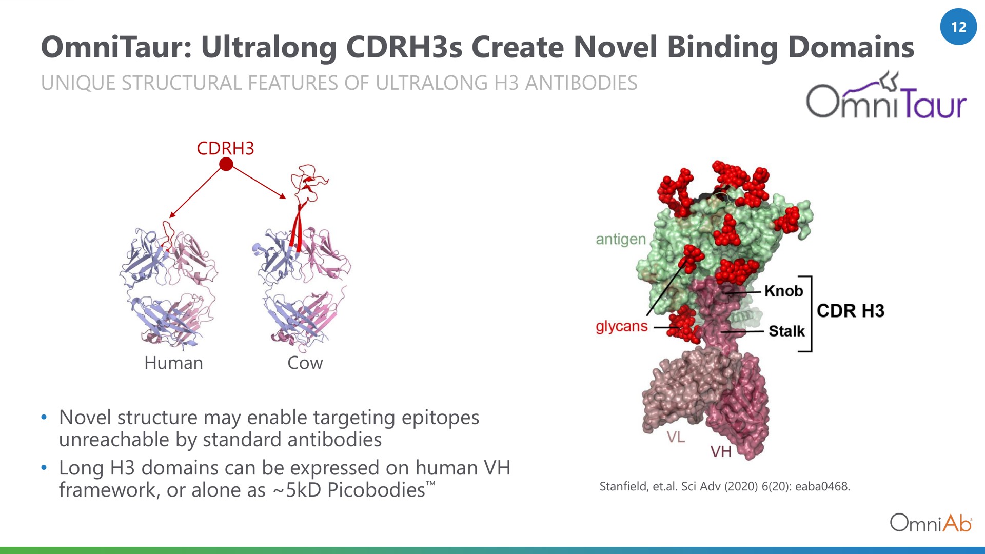 create novel binding domains | OmniAb