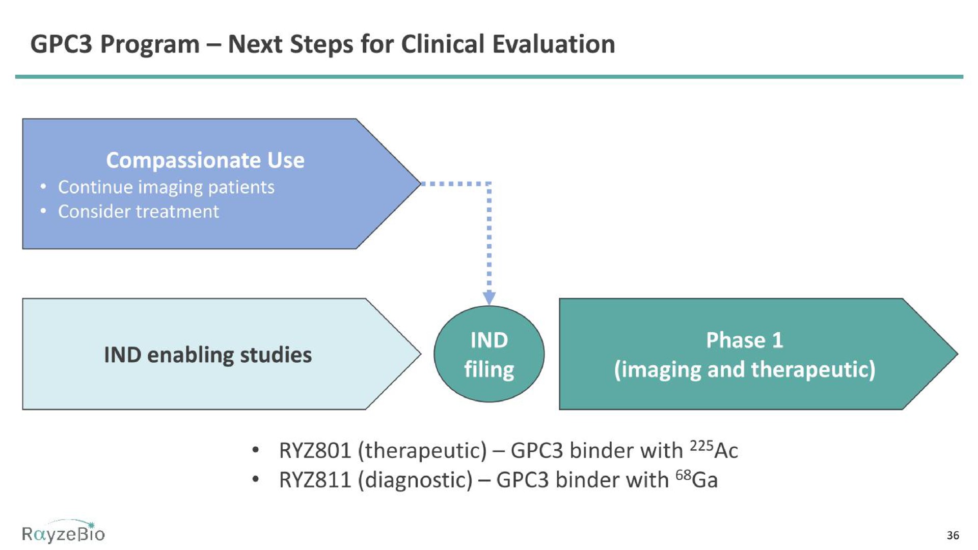 program next steps for clinical evaluation enabling studies ache imaging and therapeutic therapeutic binder with diagnostic binder with | RayzeBio