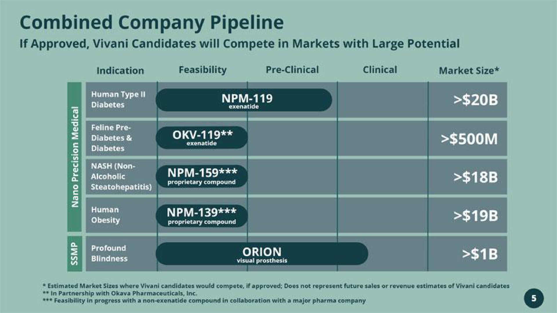 combined company pipeline | Vivani Medical