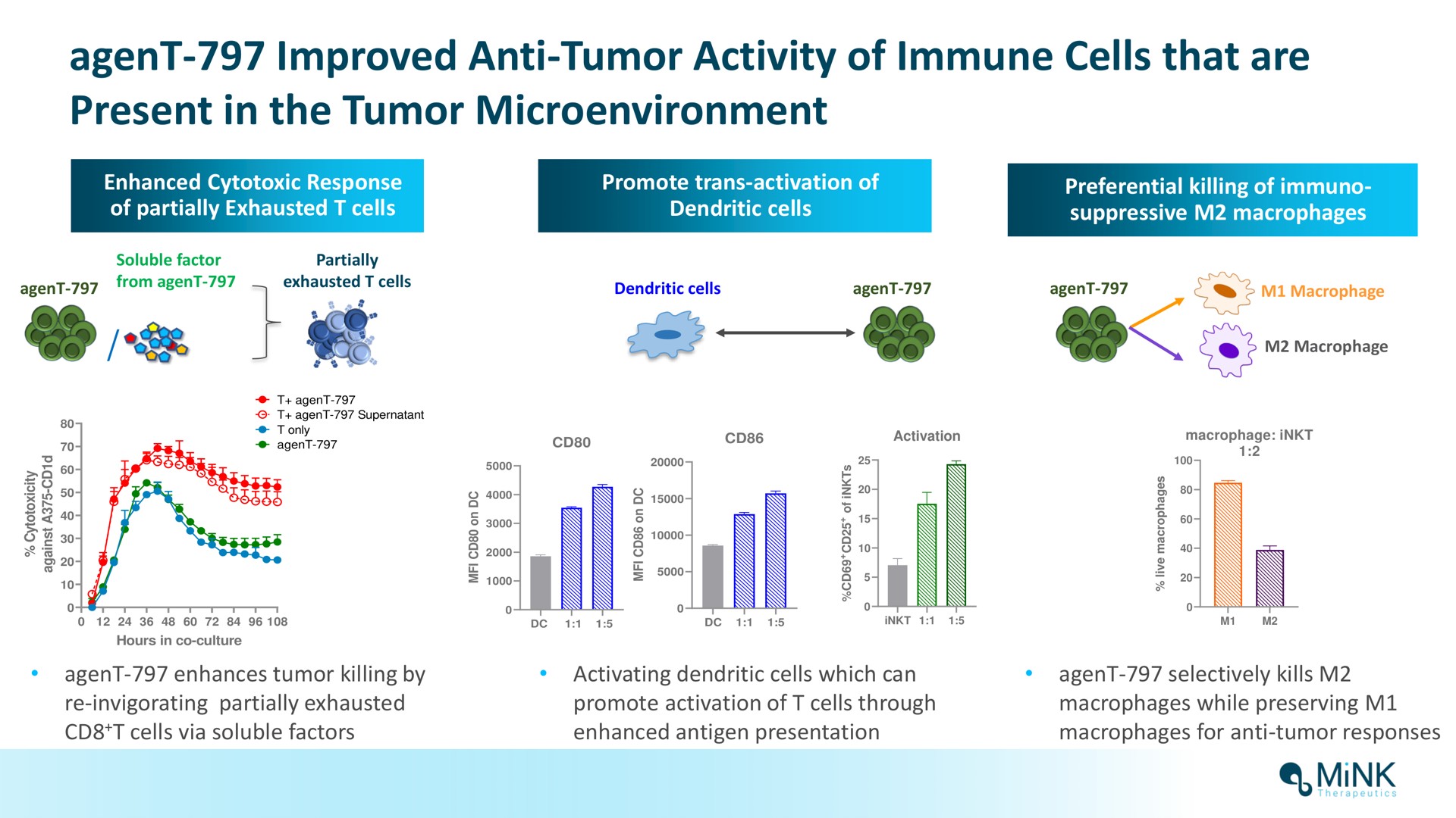 agent improved anti tumor activity of immune cells that are present in the tumor mink | Mink Therapeutics