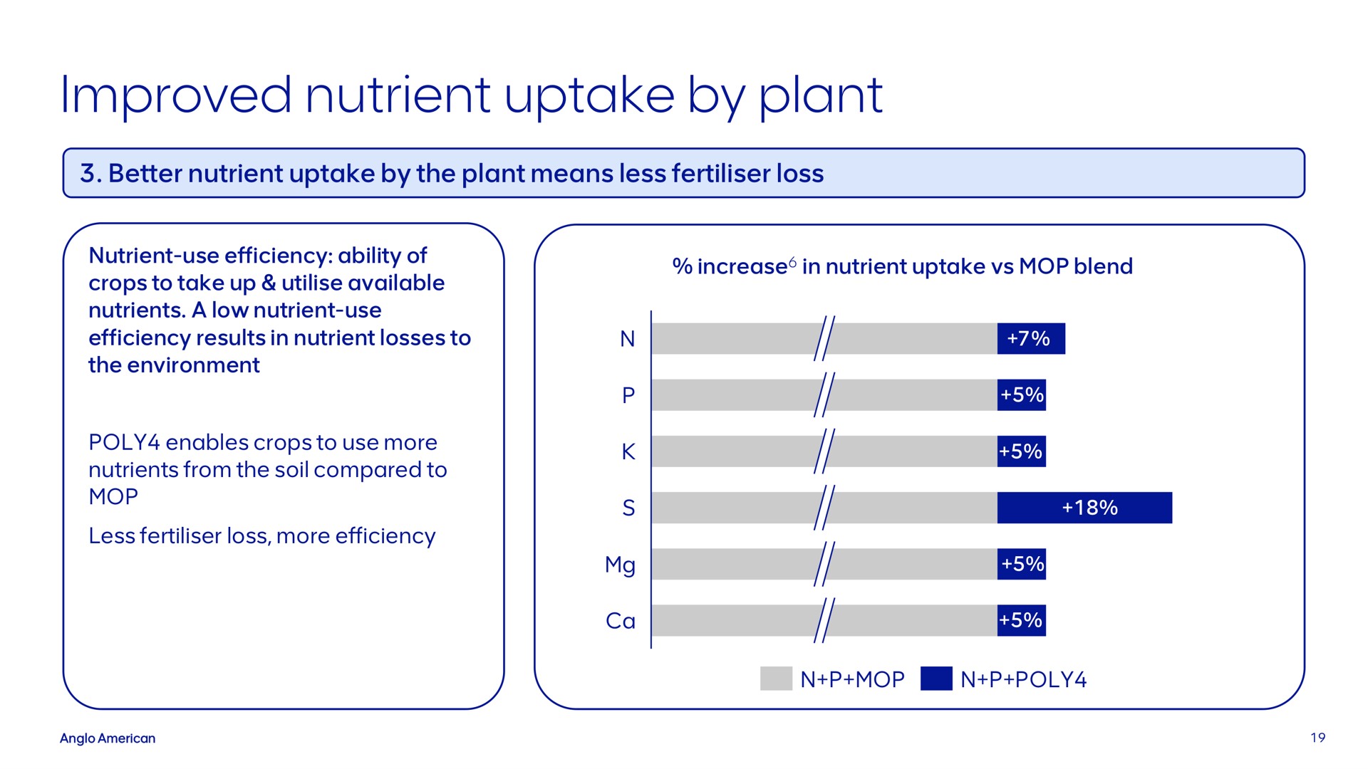 improved nutrient uptake by plant i i | AngloAmerican
