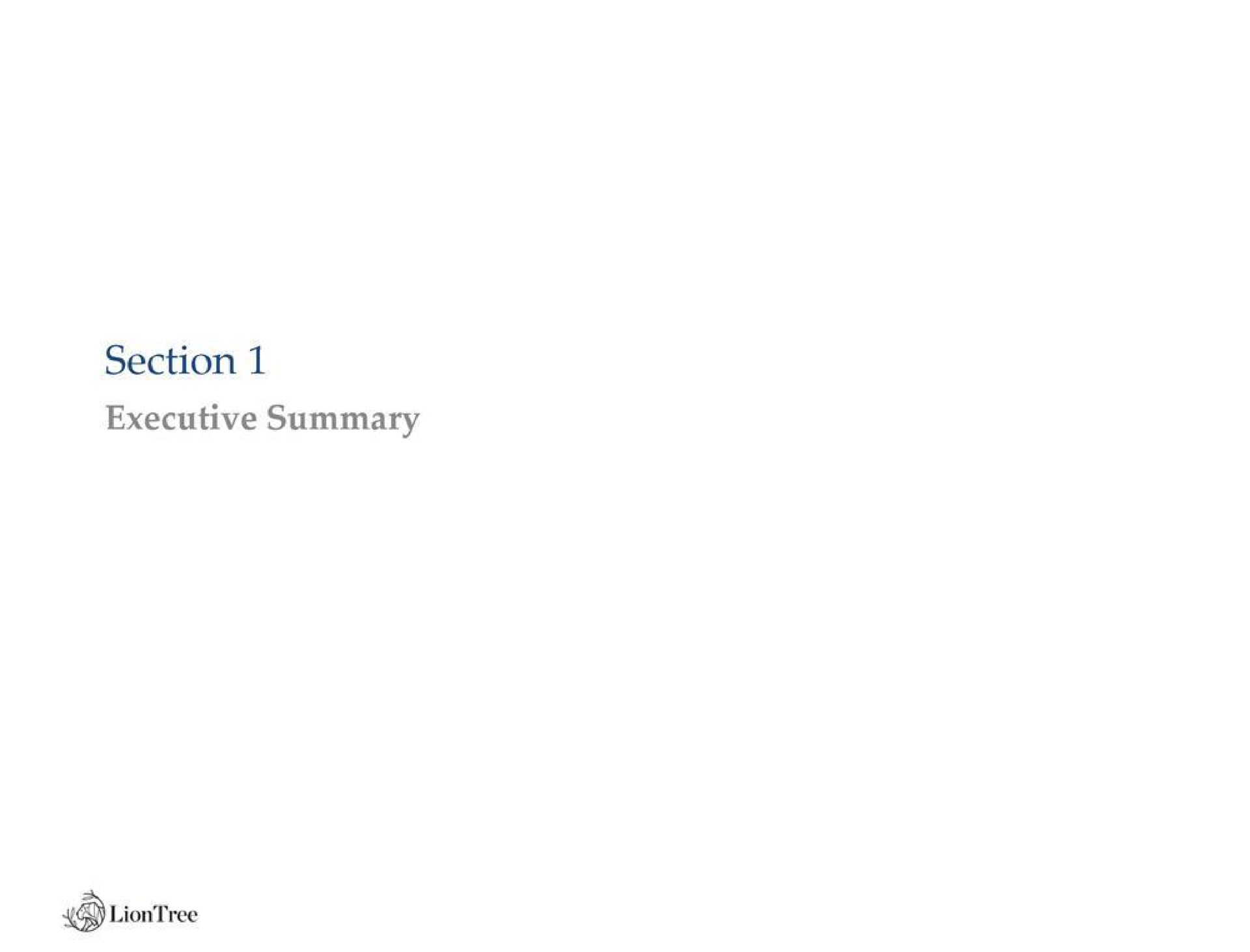 section executive summary | LionTree