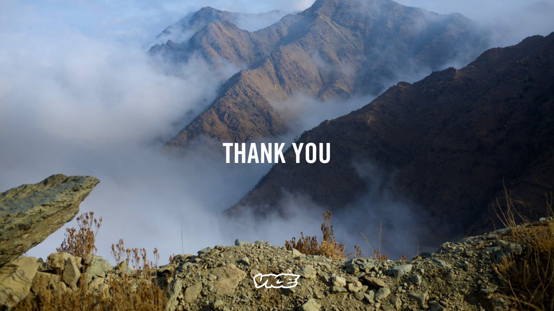 thank you | Vice Media Group