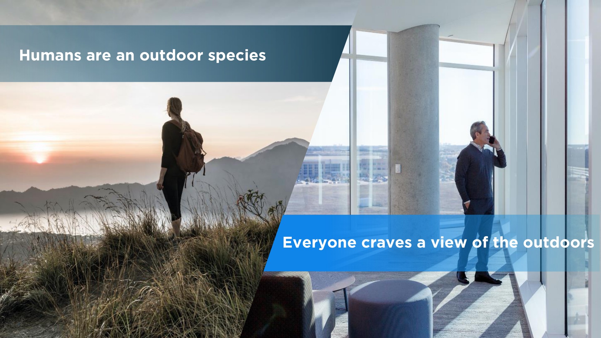 humans are an outdoor species everyone craves a view of the outdoors | View