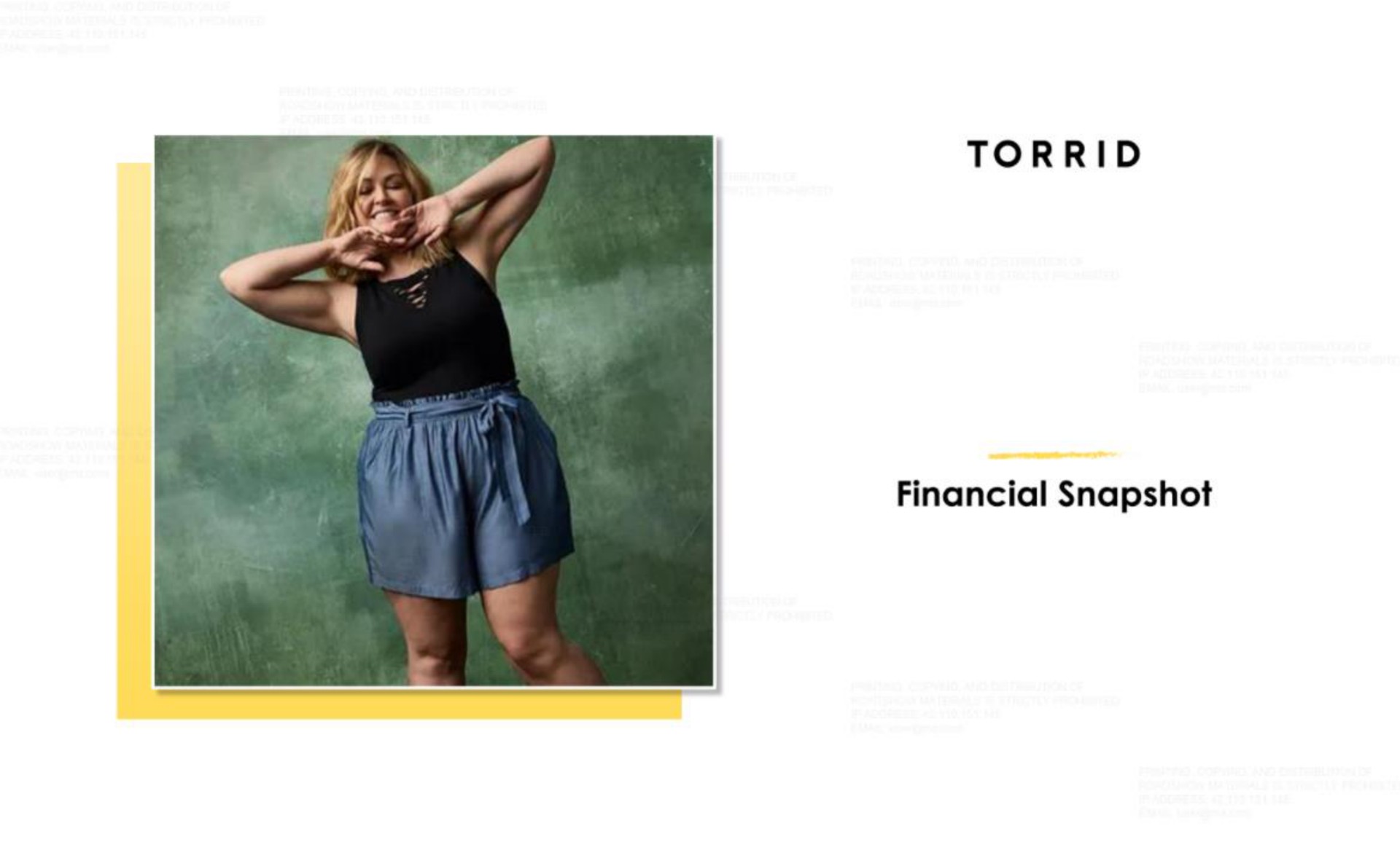 torrid financial snapshot | Torrid