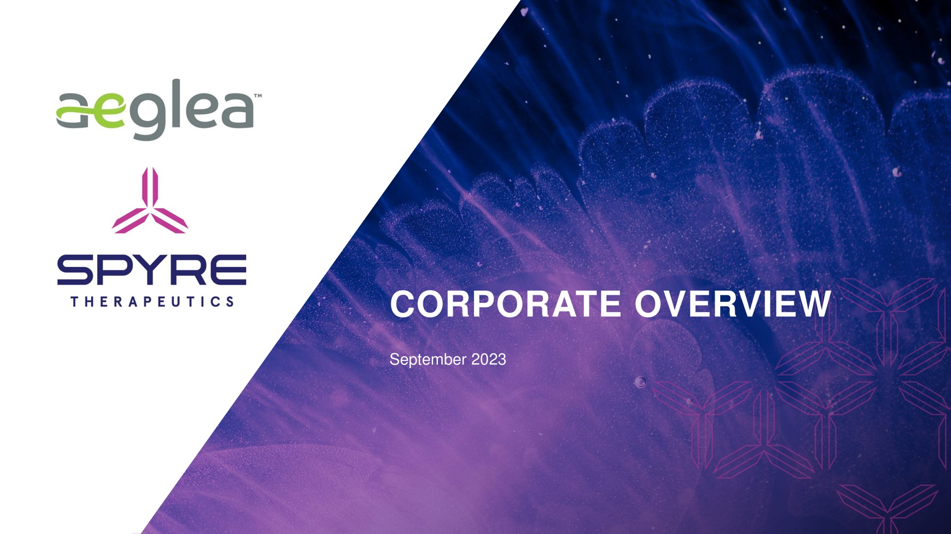 corporate overview ans | Aeglea BioTherapeutics