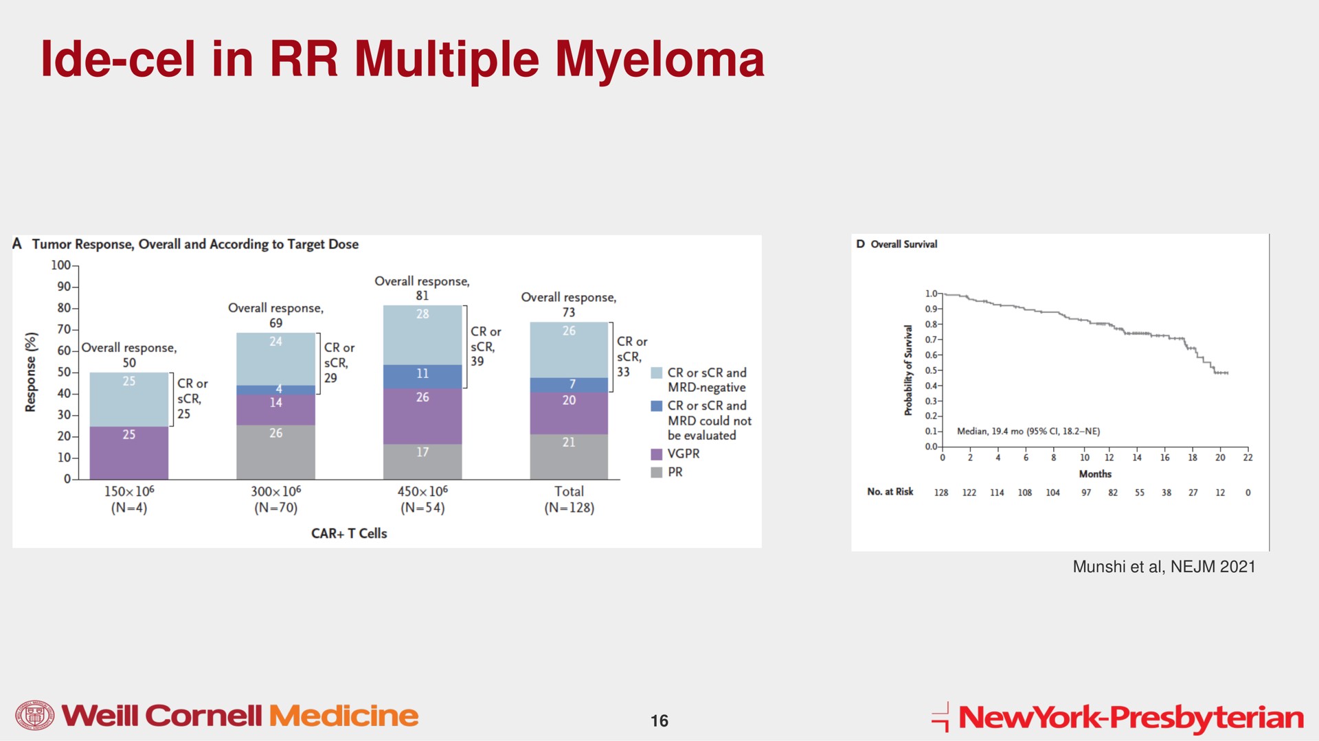 ide in multiple myeloma | Mink Therapeutics