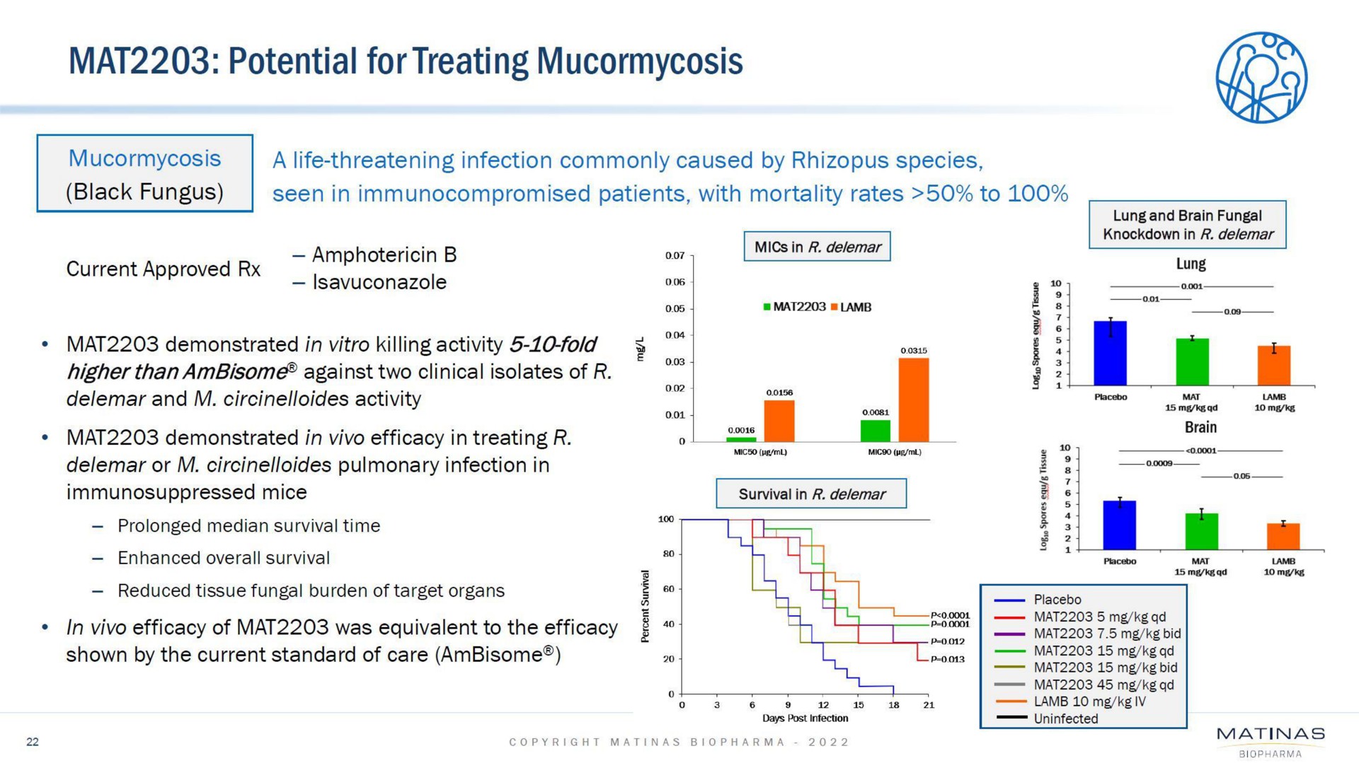 mat potential for treating mucormycosis i | Matinas BioPharma