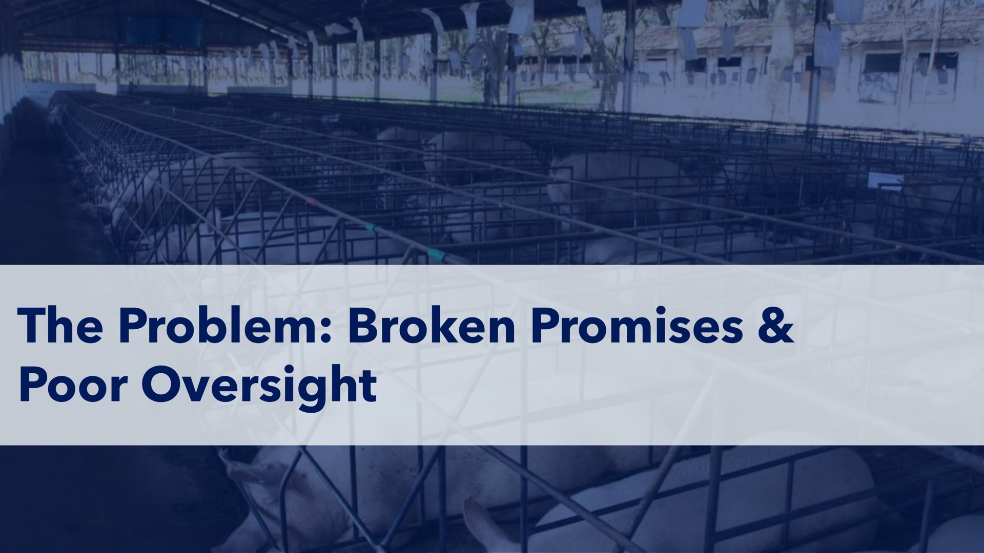 the problem broken promises poor oversight | Icahn Enterprises