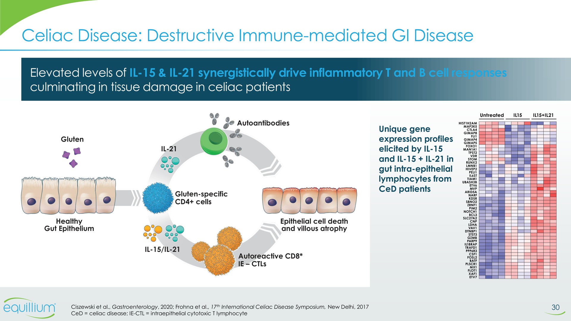 celiac disease destructive immune mediated disease | Equillium