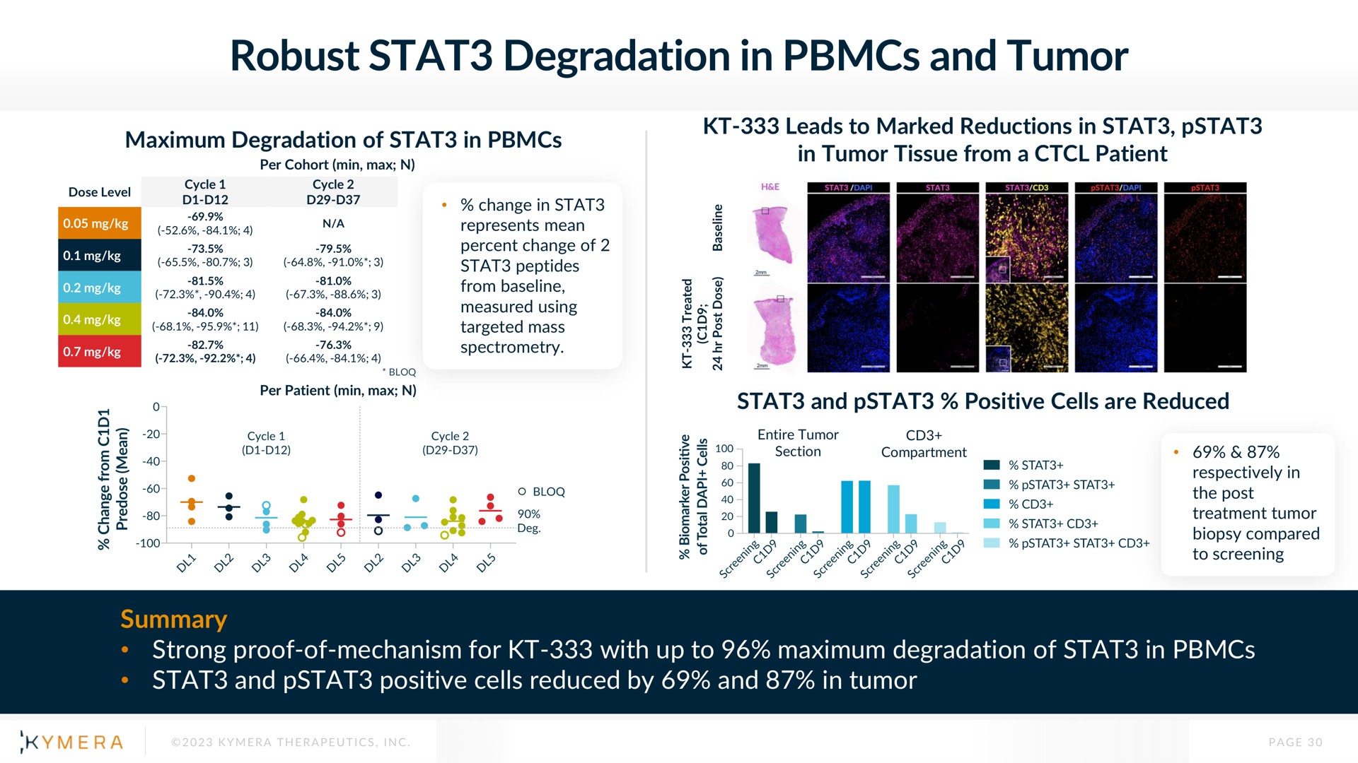 robust degradation in and tumor | Kymera