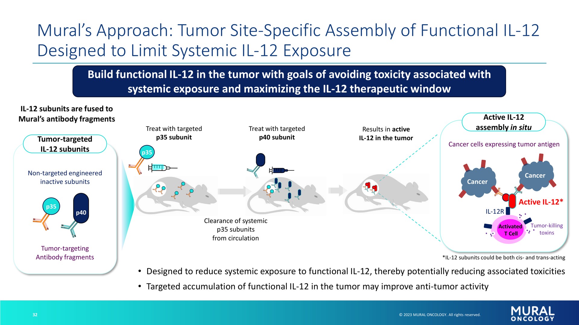 mural approach tumor site specific assembly of functional designed to limit systemic exposure | Alkermes