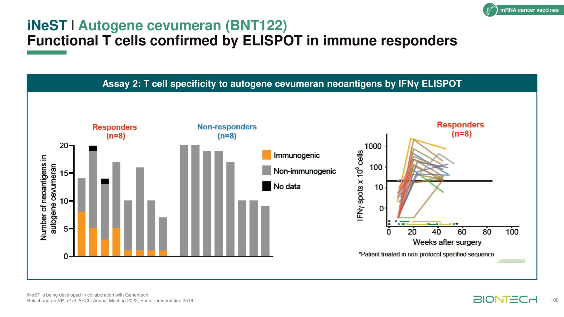 functional cells confirmed by in immune responders gee | BioNTech