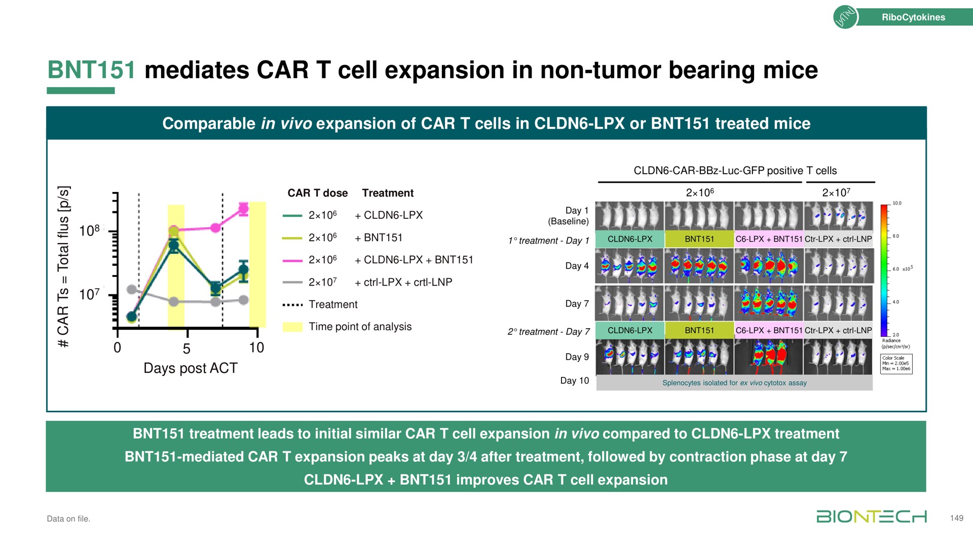 mediates car cell expansion in non tumor bearing mice | BioNTech