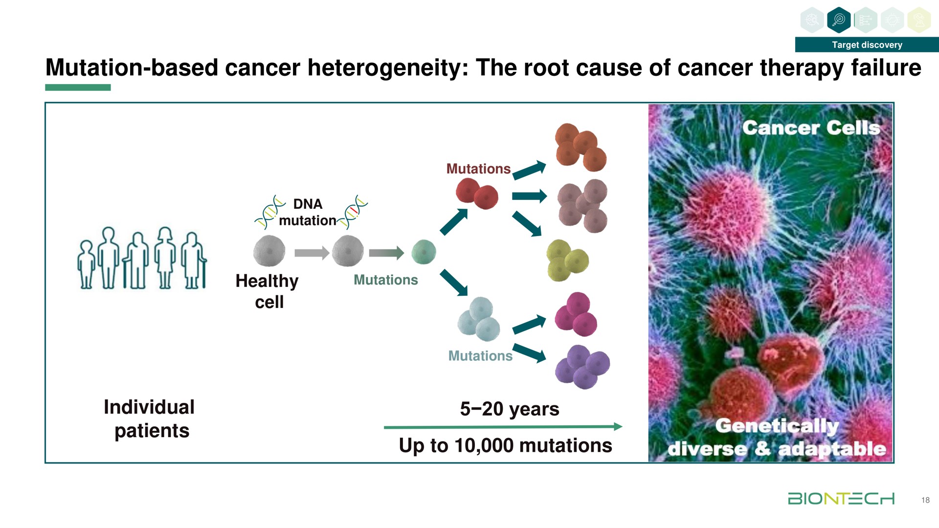 mutation based cancer heterogeneity the root cause of cancer therapy failure | BioNTech