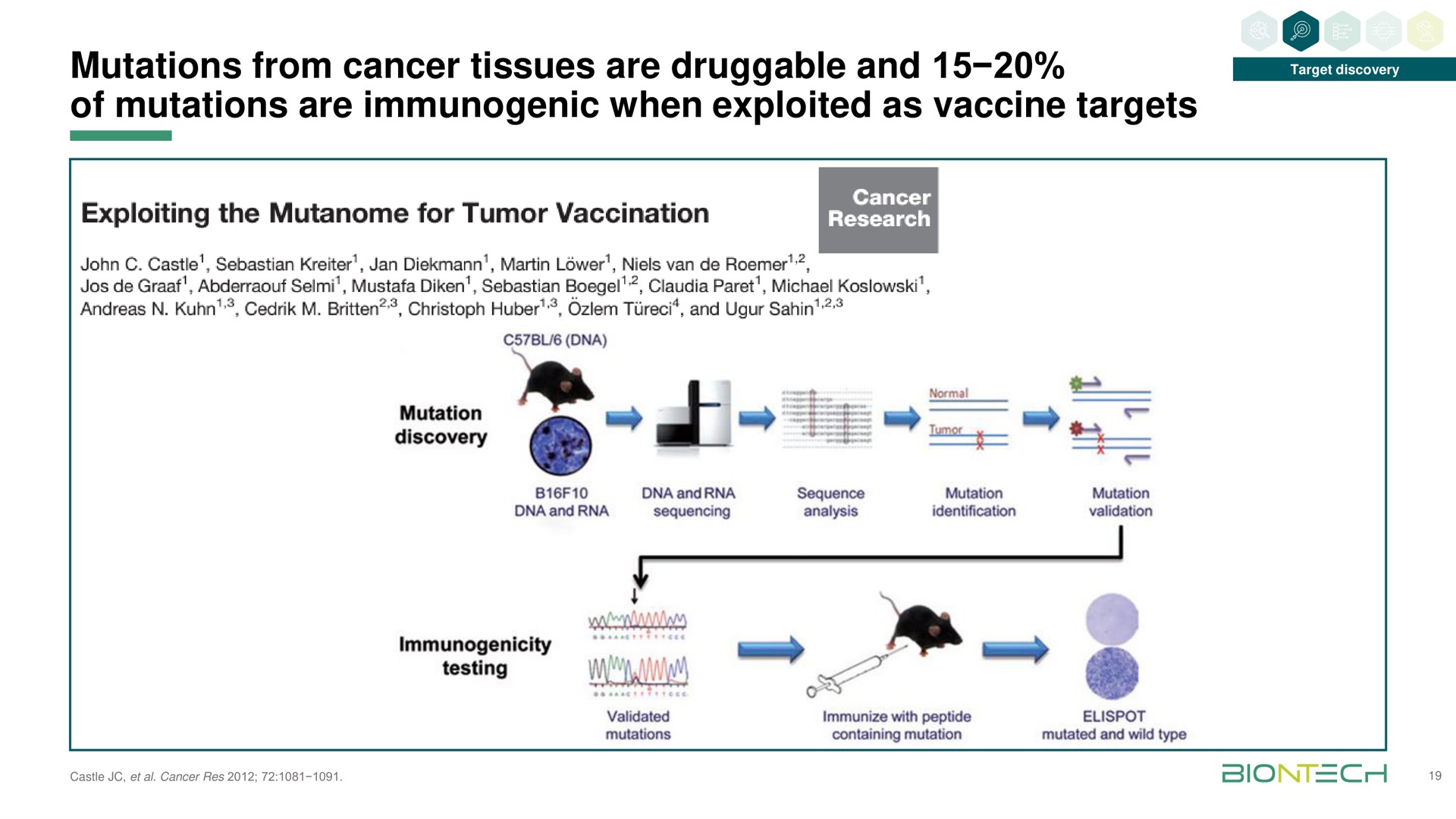 mutations from cancer tissues are and of mutations are immunogenic when exploited as vaccine targets | BioNTech