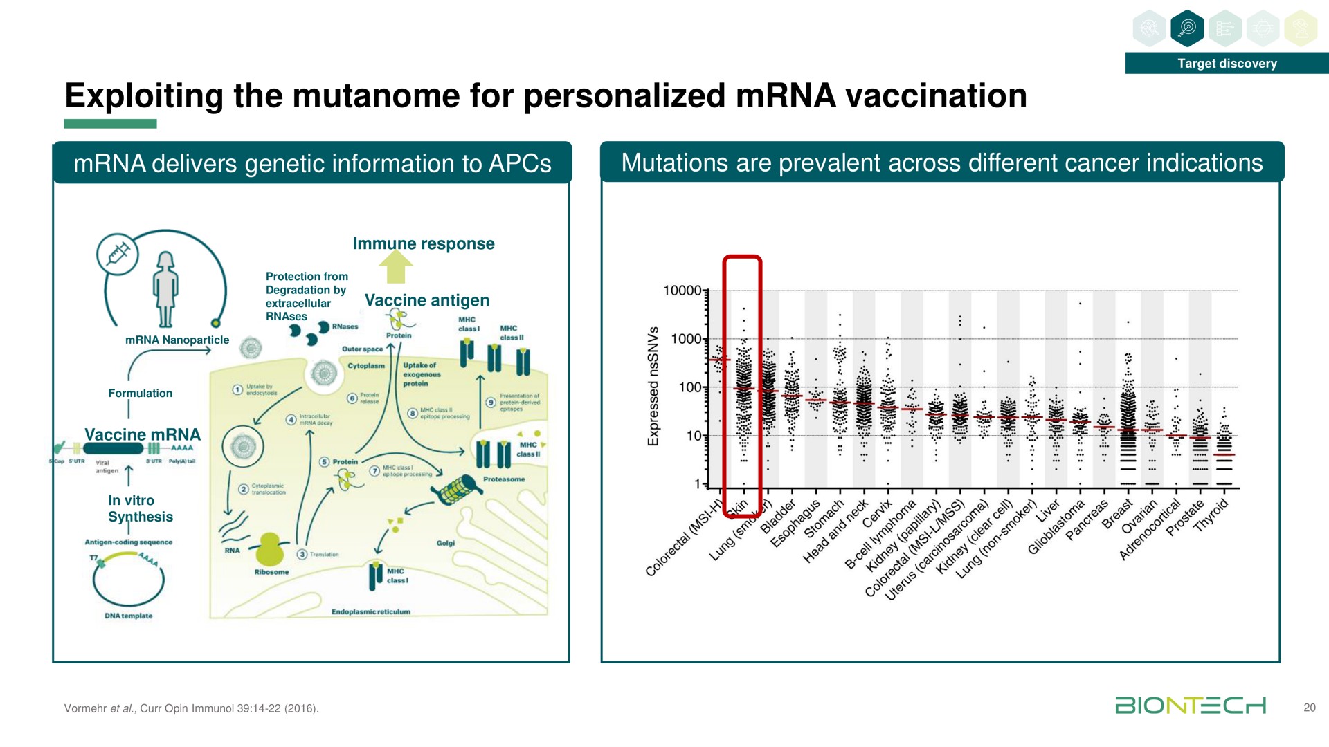 exploiting the for personalized vaccination | BioNTech