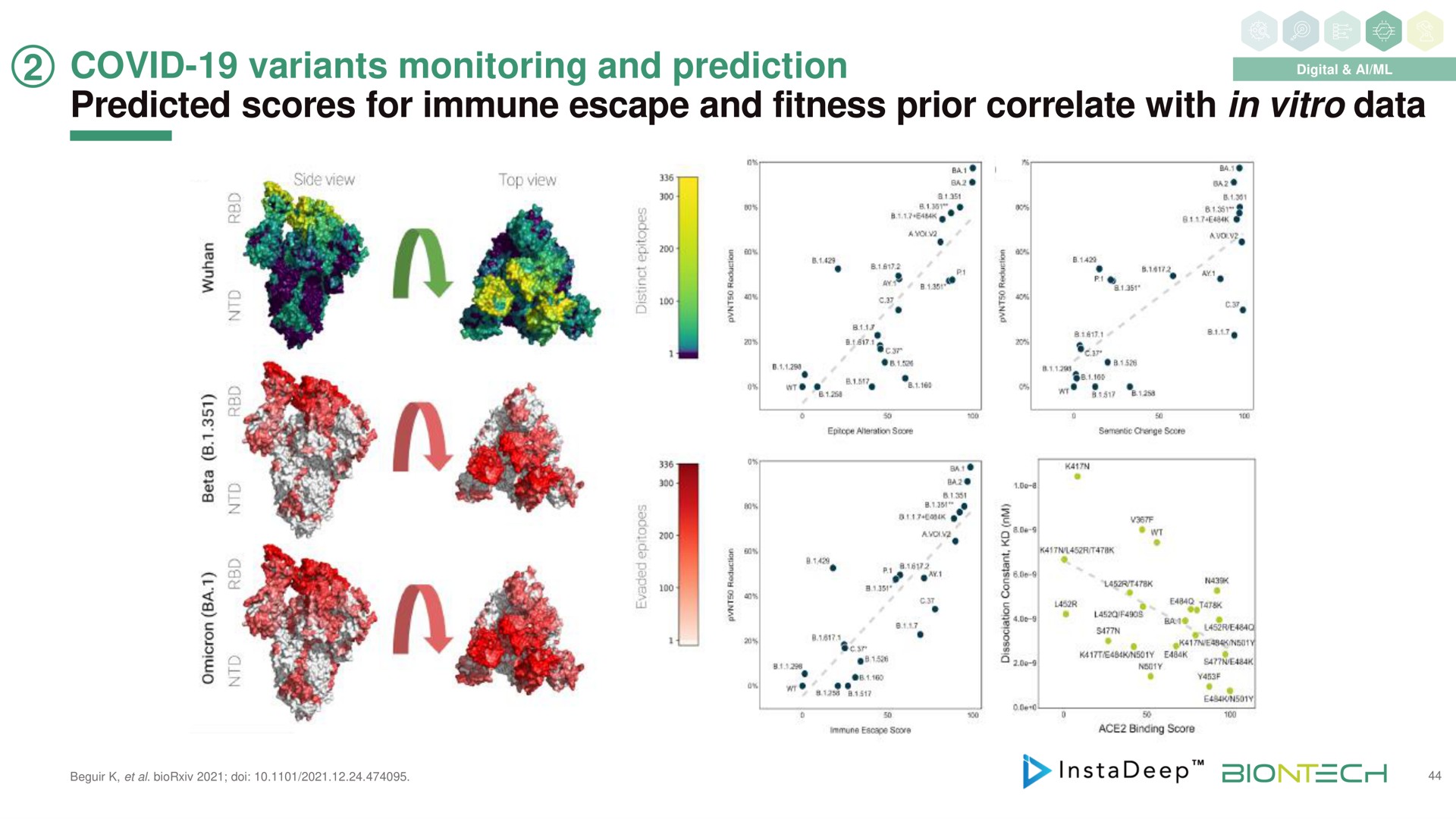 covid variants monitoring and prediction predicted scores for immune escape and fitness prior correlate with in data | BioNTech