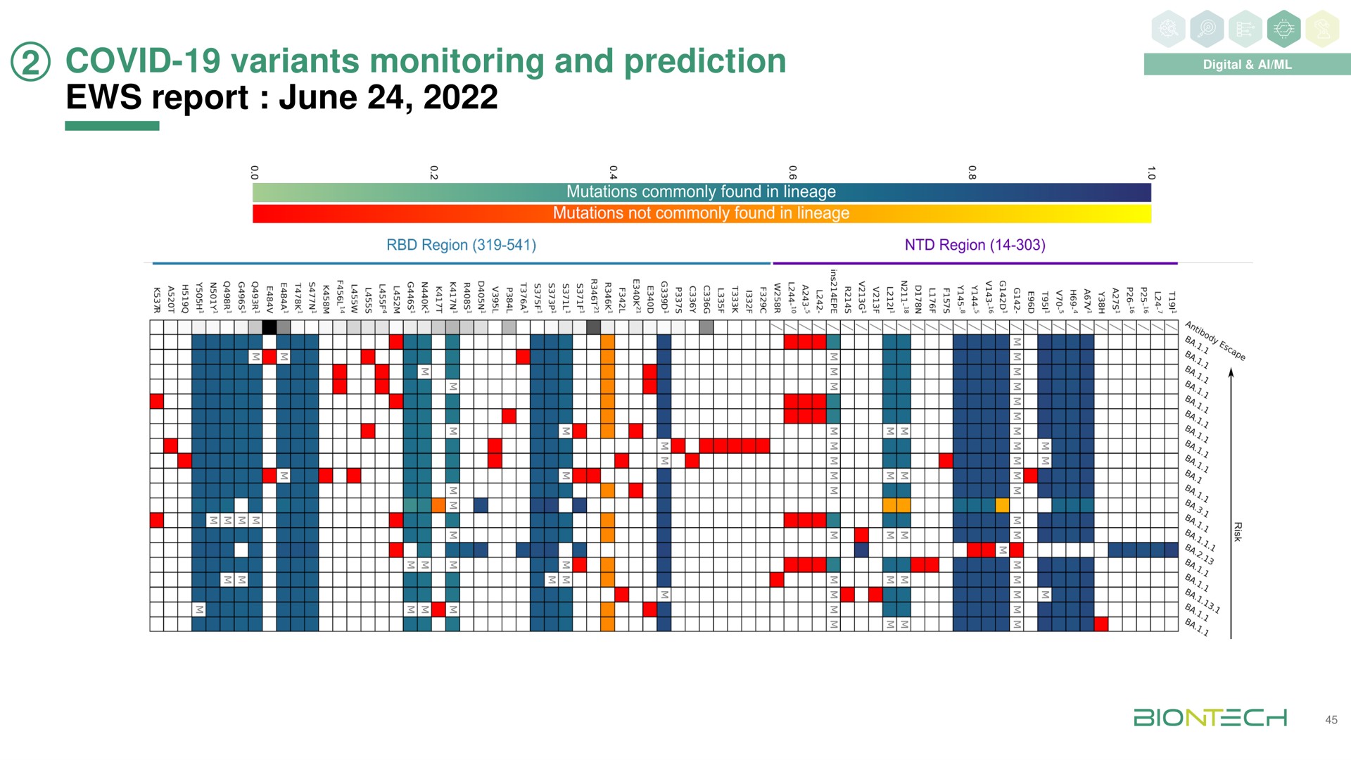 covid variants monitoring and prediction report june | BioNTech